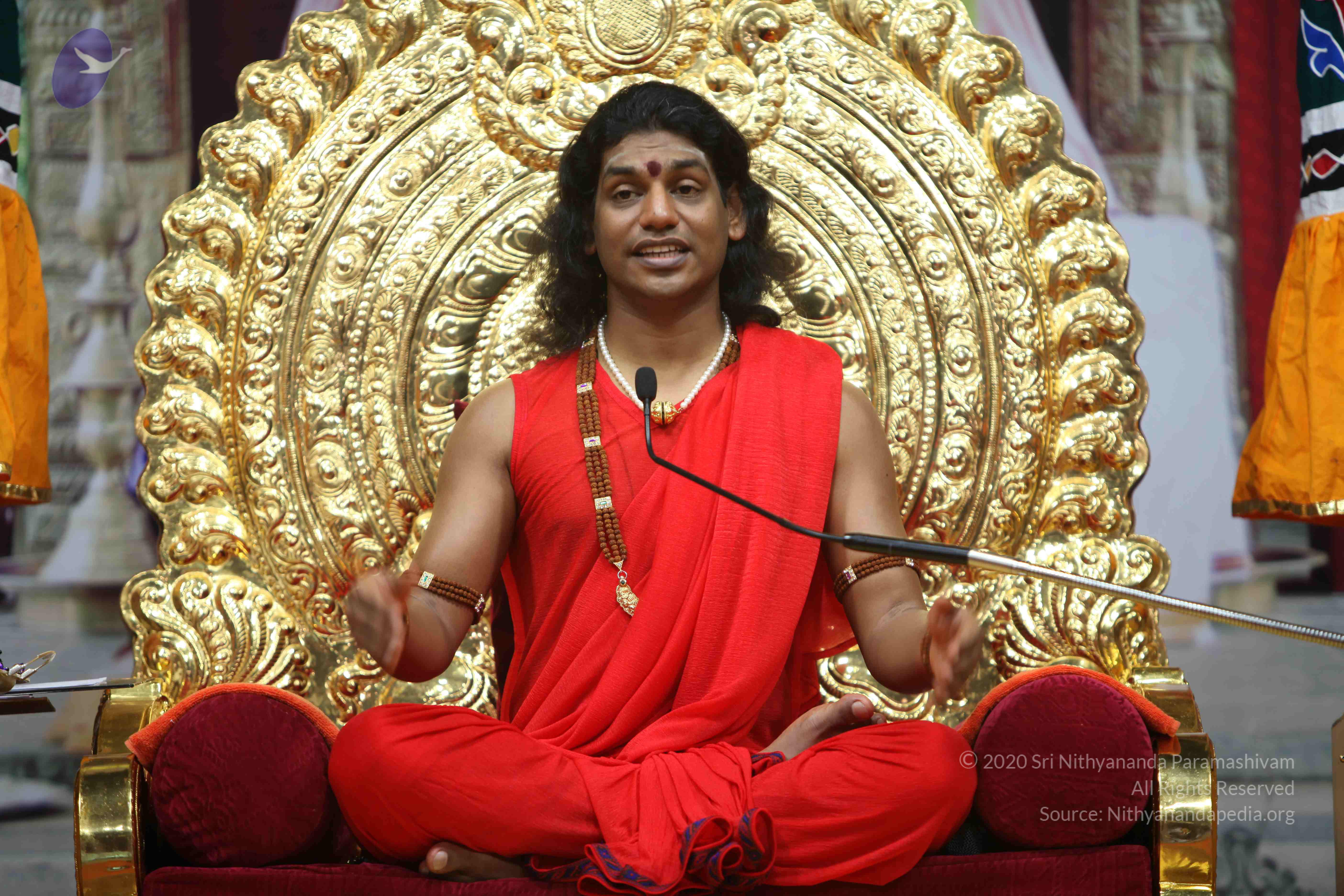 20110216_Photo_1023_IMG_1168_CMP_WM