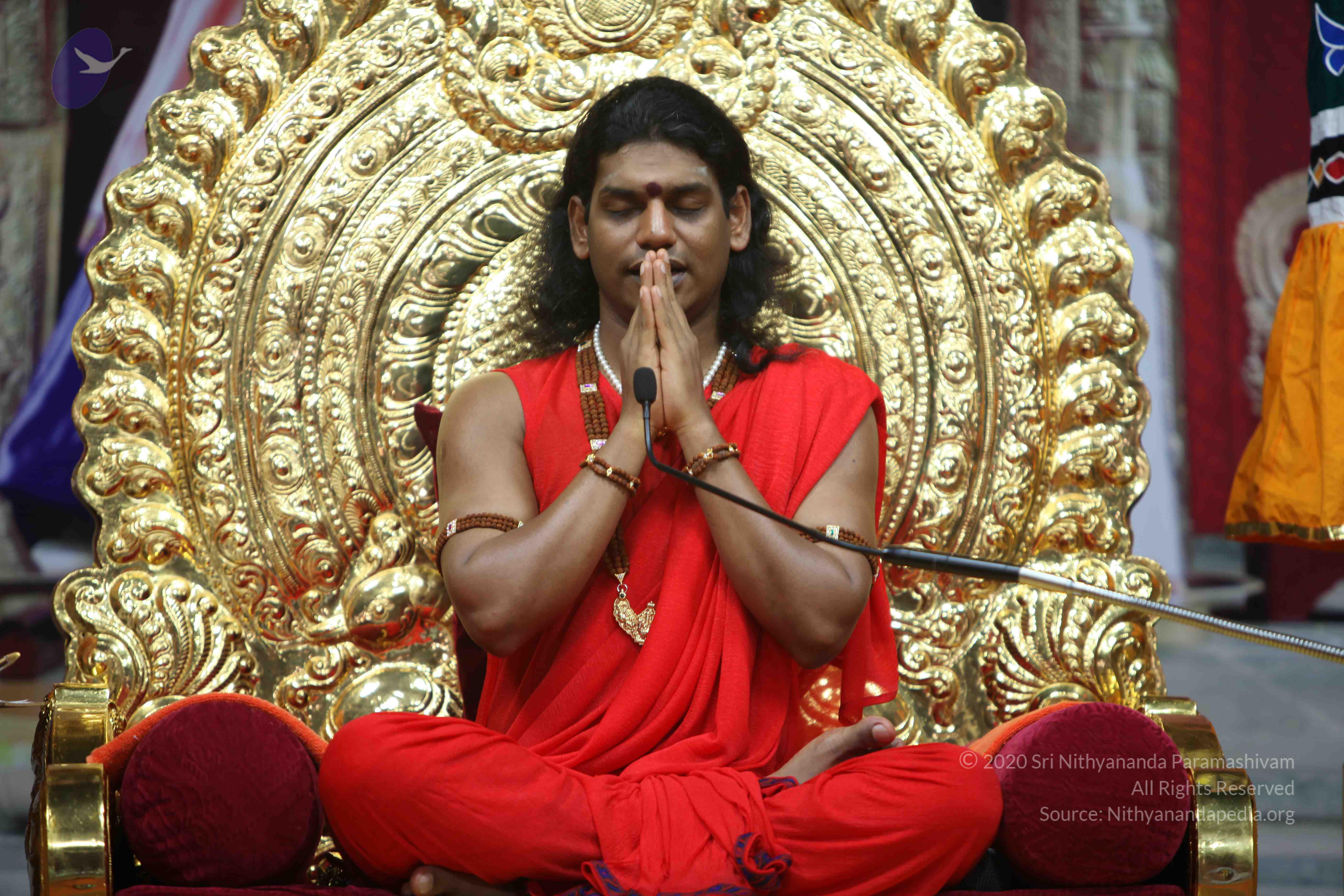 20110216_Photo_1025_IMG_1236_CMP_WM