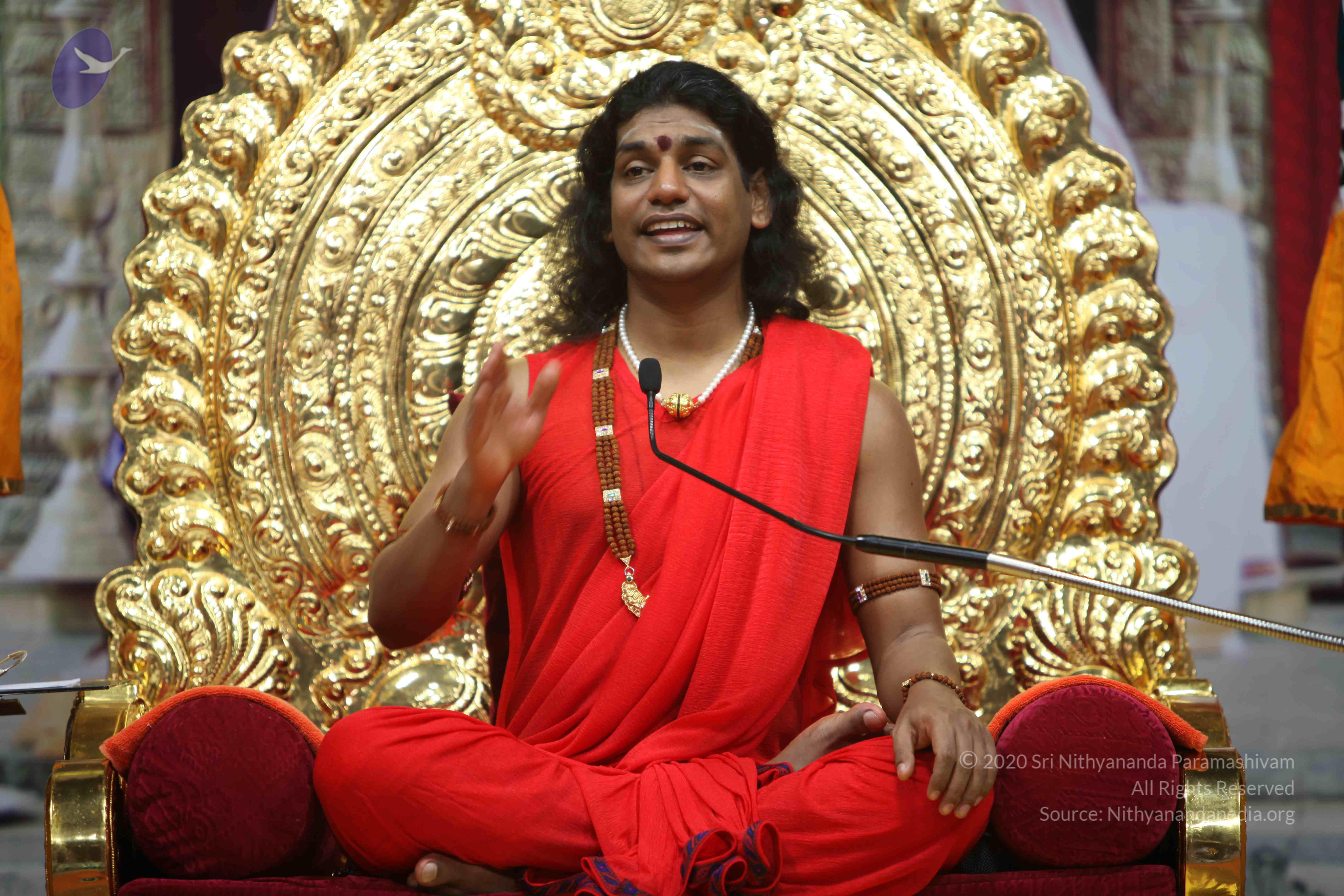 20110216_Photo_1029_IMG_1179_CMP_WM