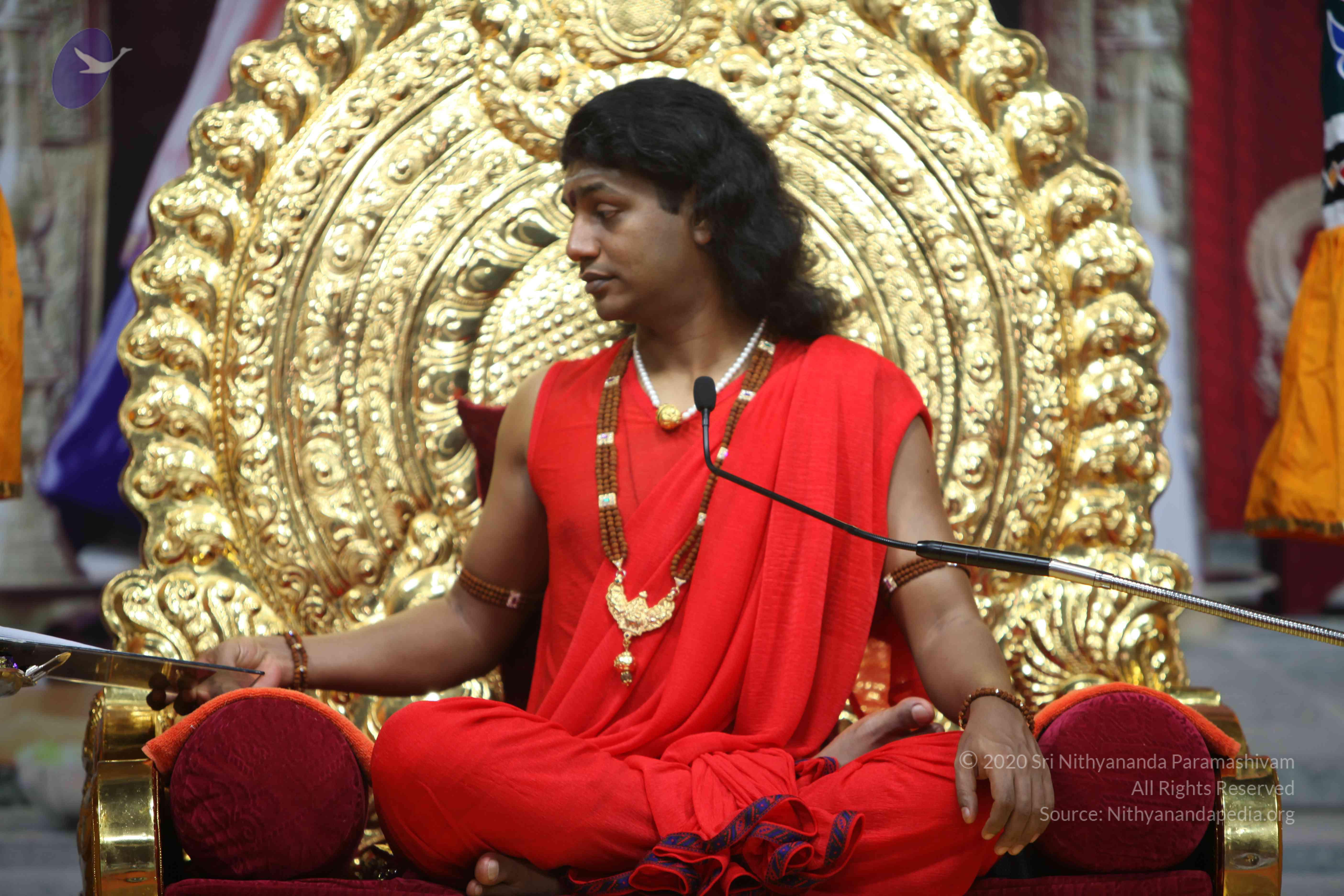 20110216_Photo_1034_IMG_1100_CMP_WM