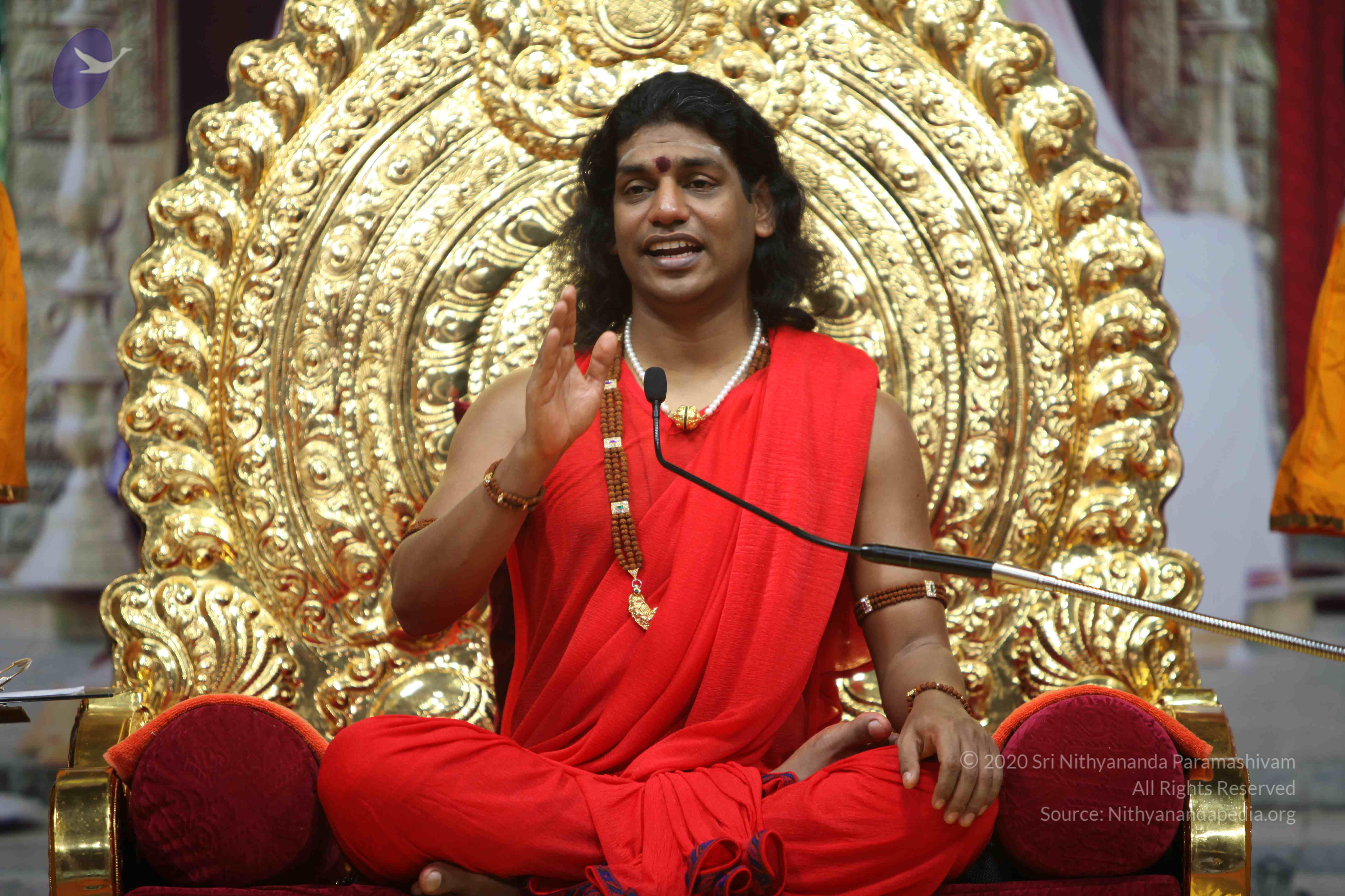 20110216_Photo_1037_IMG_1181_CMP_WM