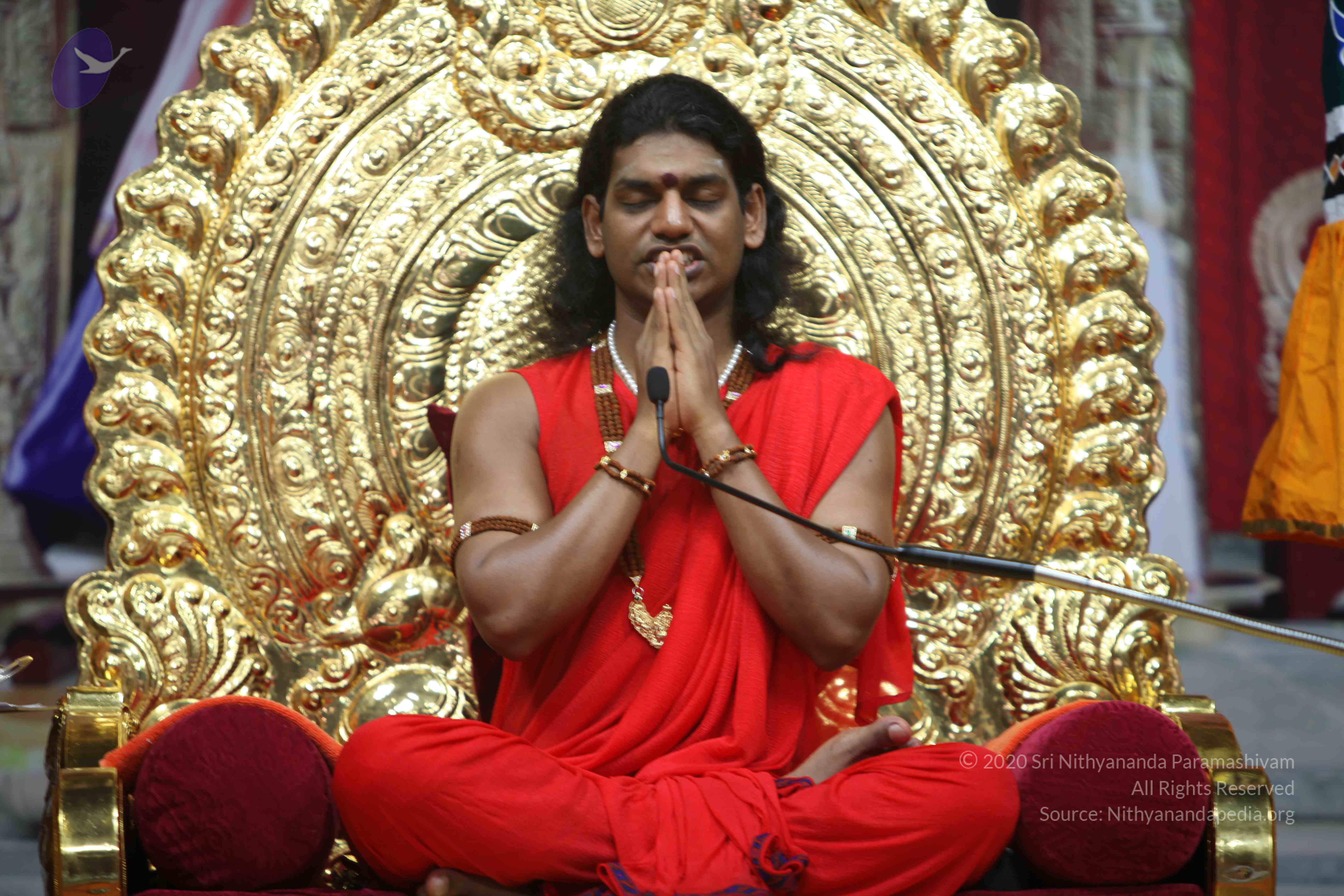 20110216_Photo_1042_IMG_1231_CMP_WM