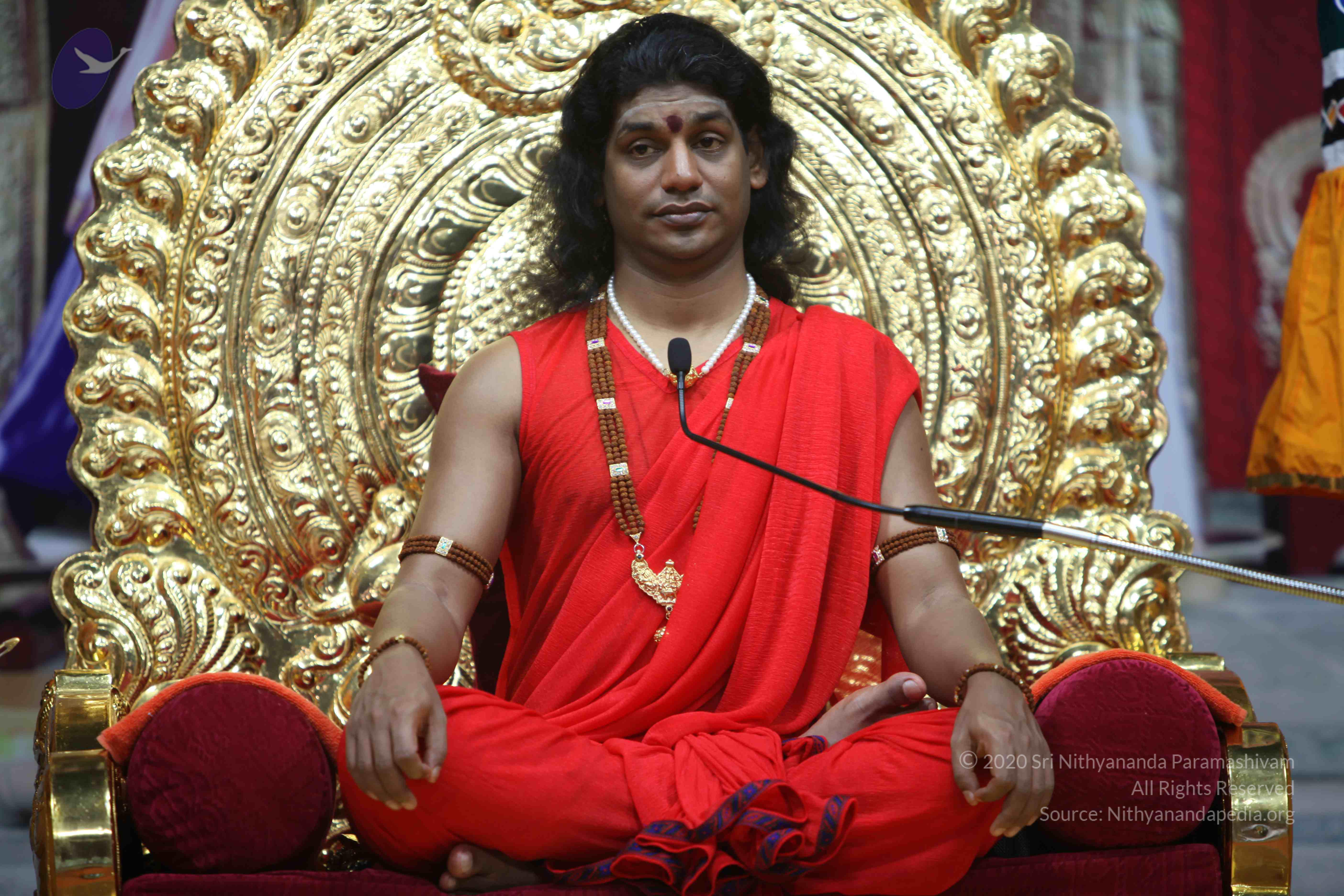 20110216_Photo_1049_IMG_1098_CMP_WM