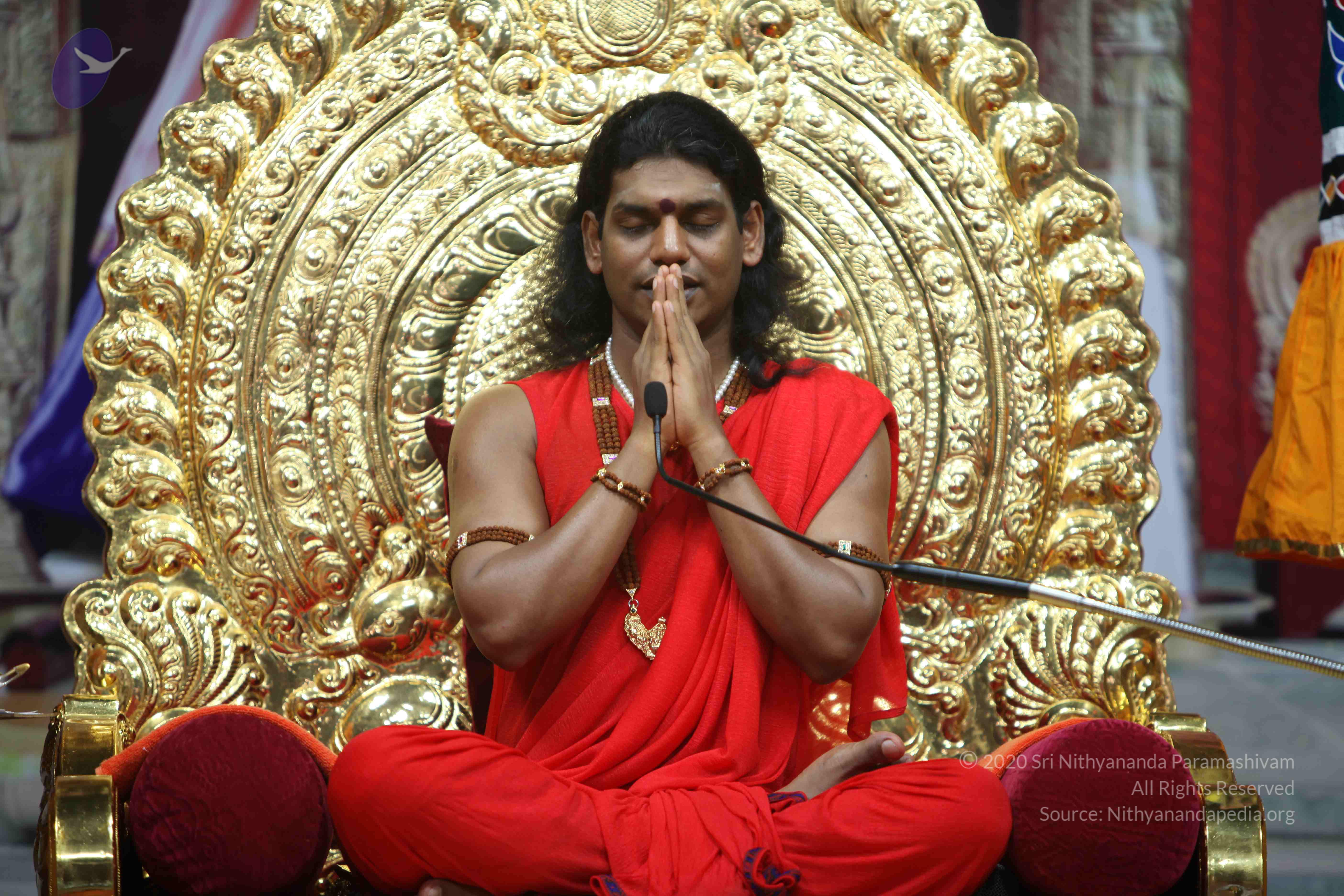 20110216_Photo_1050_IMG_1234_CMP_WM