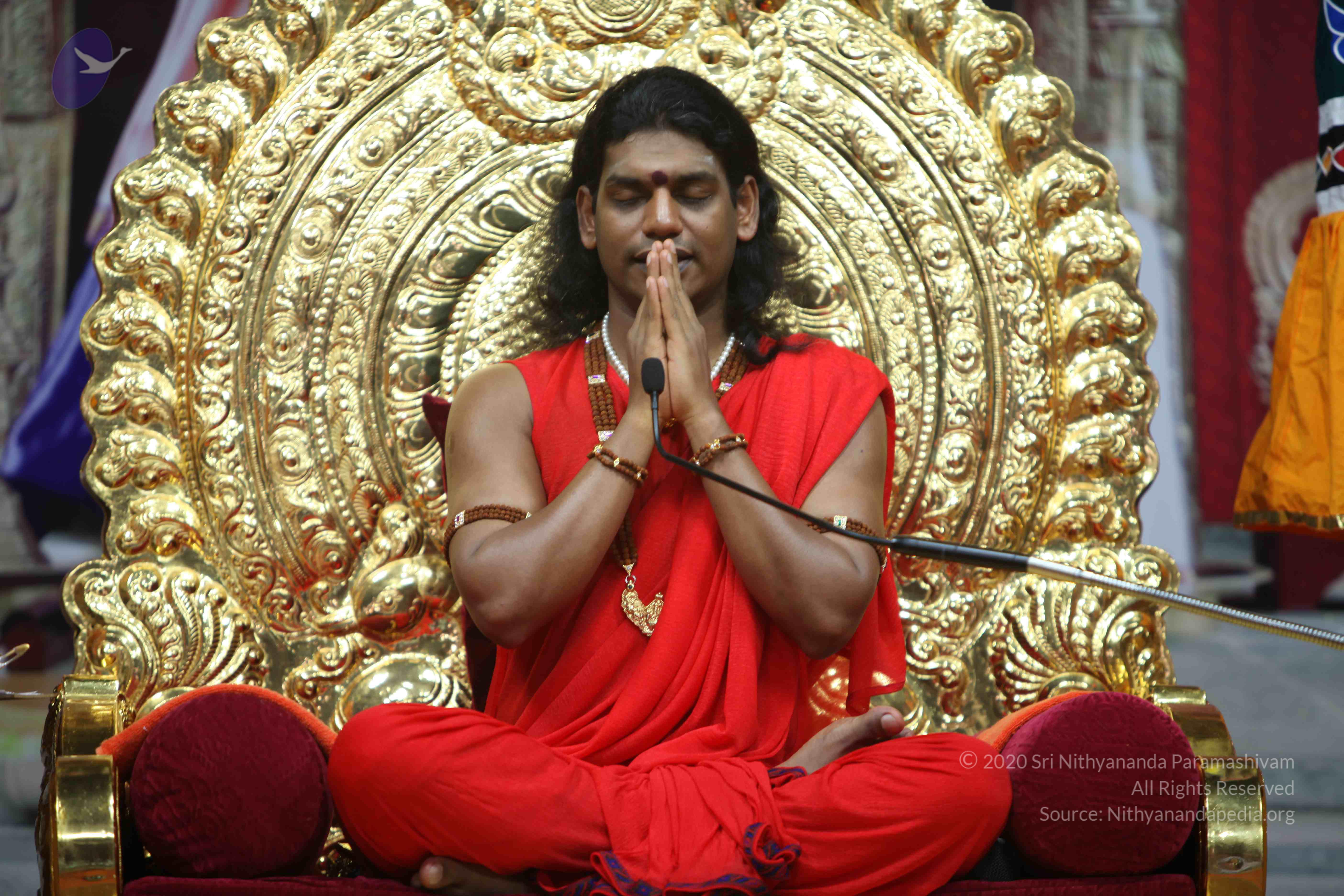 20110216_Photo_1071_IMG_1237_CMP_WM