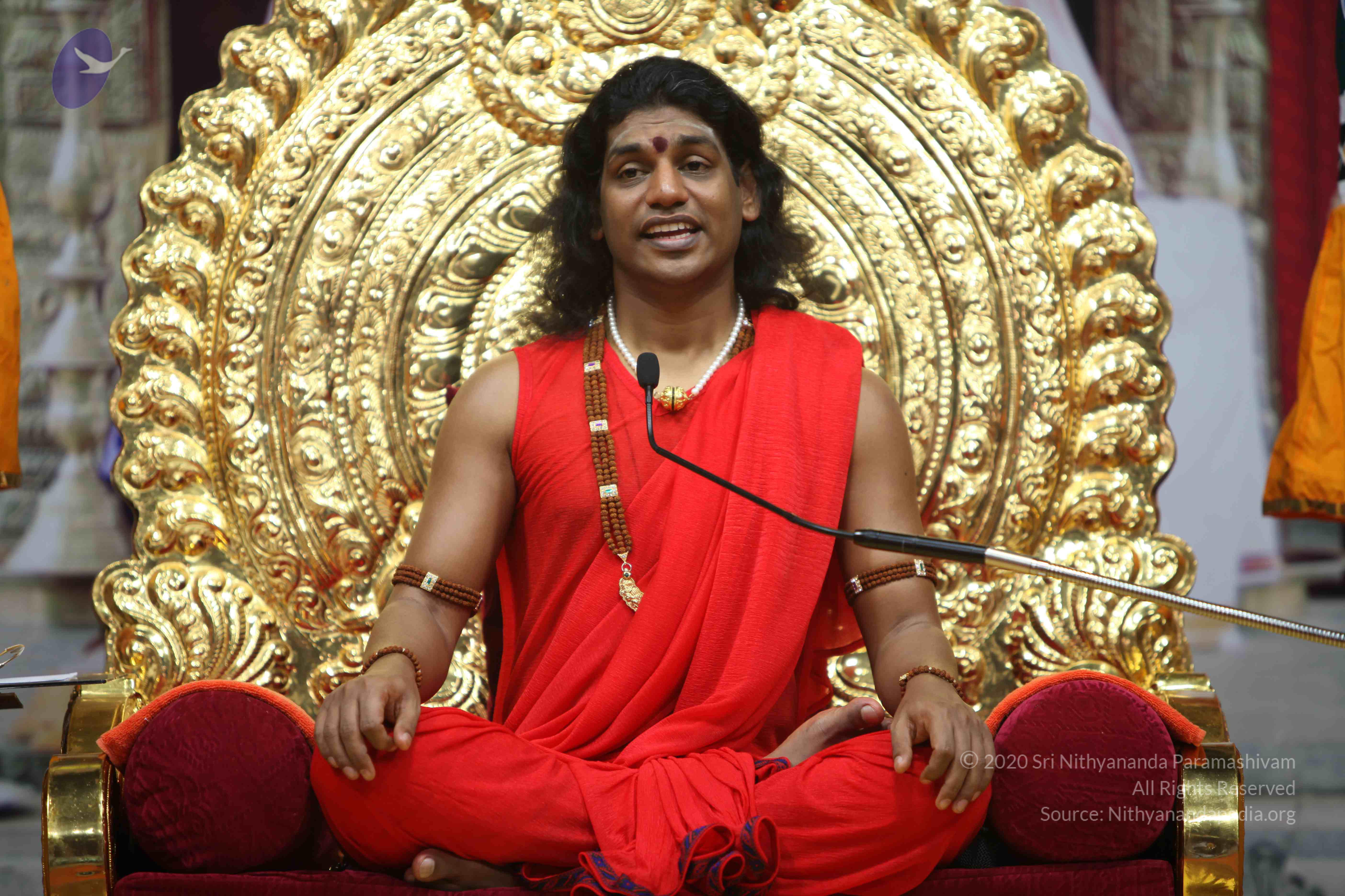 20110216_Photo_1076_IMG_1178_CMP_WM