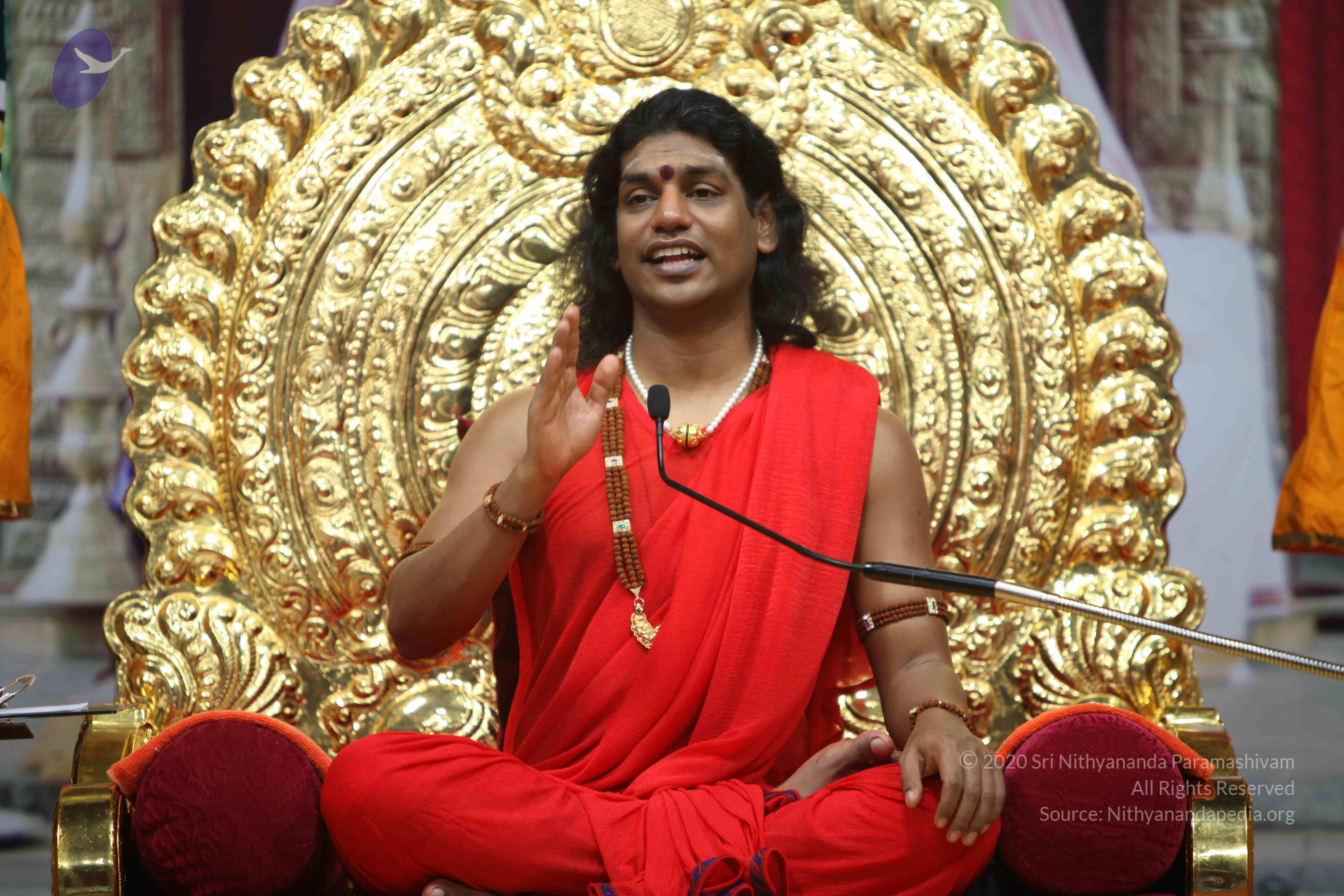 20110216_Photo_1085_IMG_1182_CMP_WM