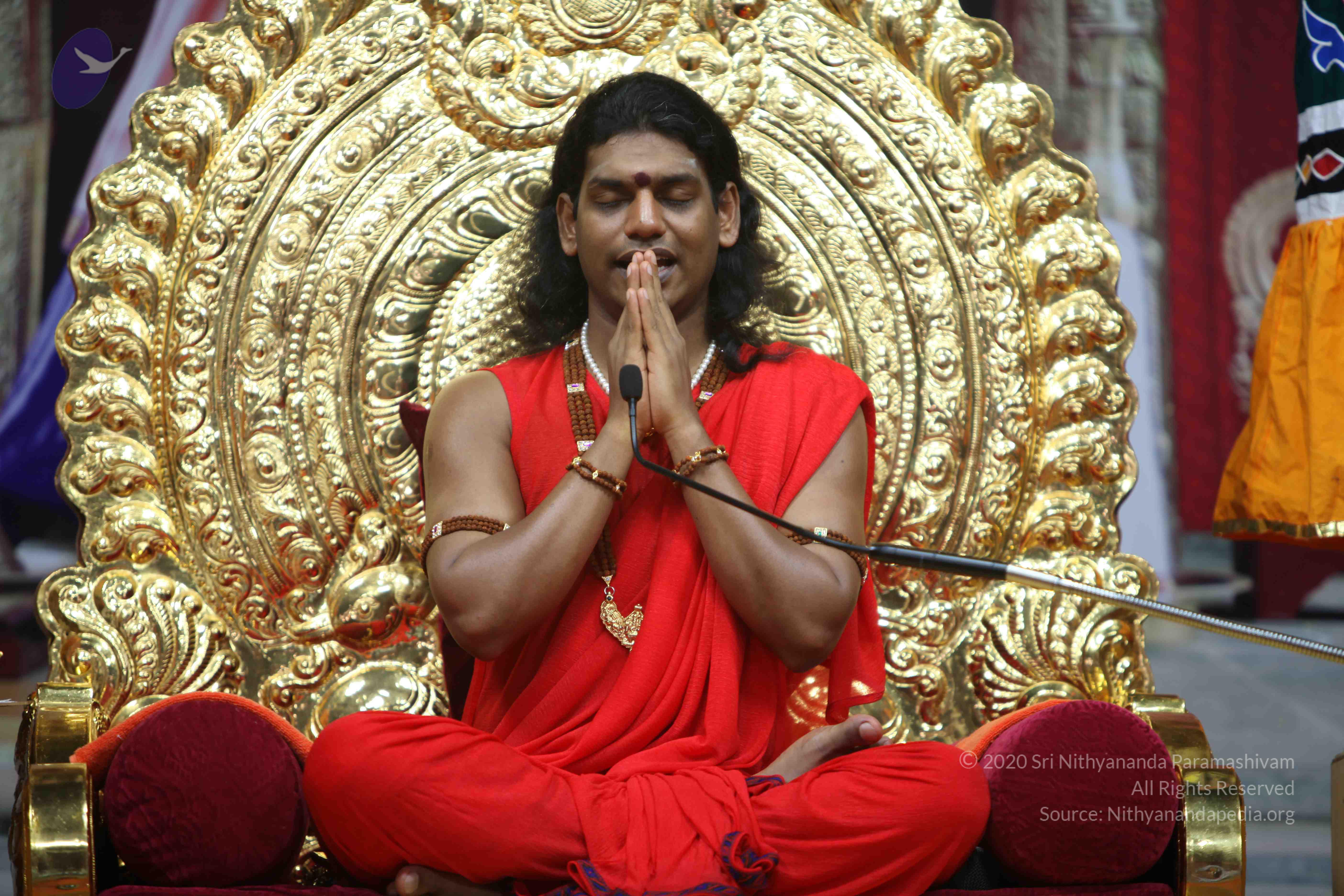 20110216_Photo_1095_IMG_1232_CMP_WM