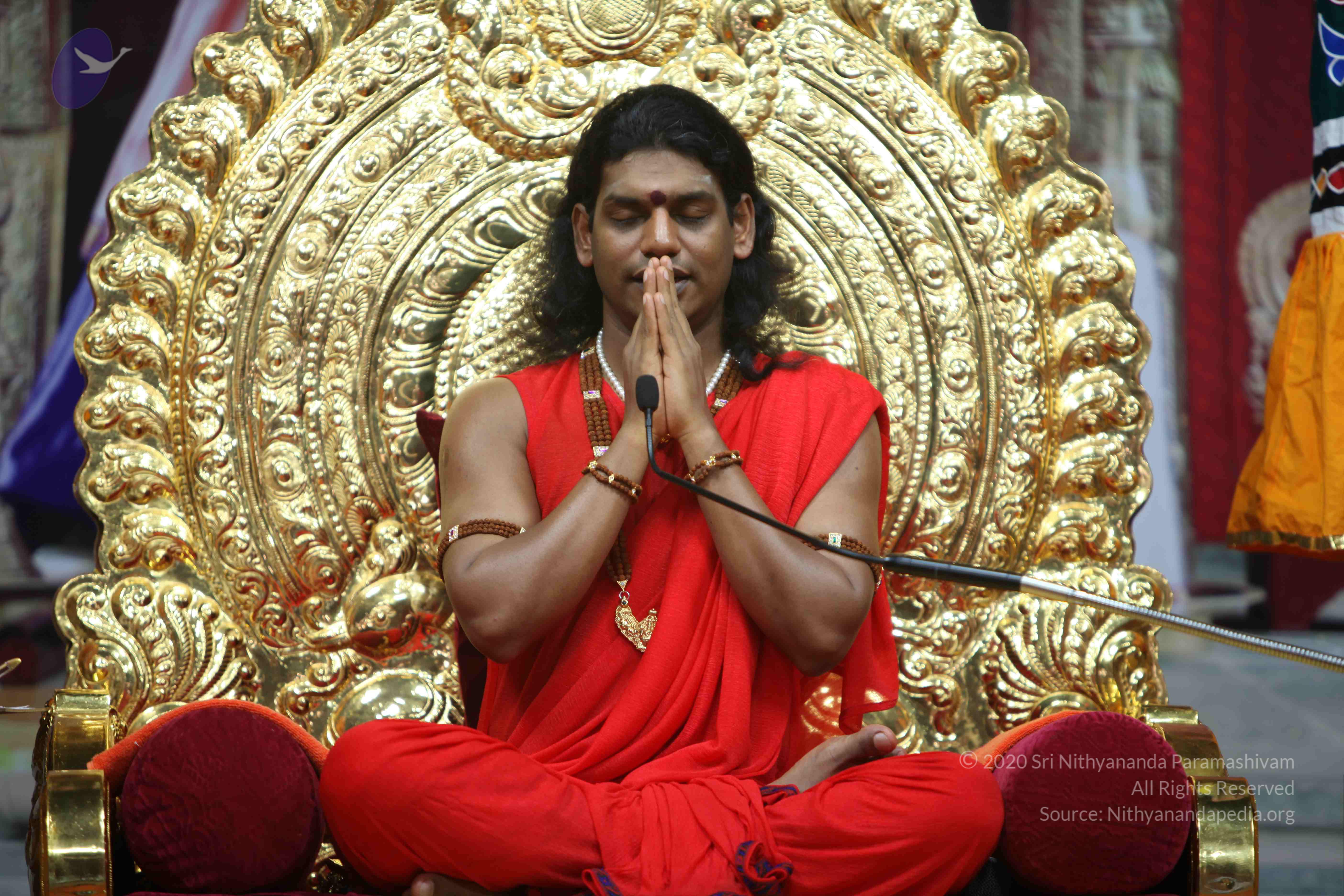 20110216_Photo_1099_IMG_1235_CMP_WM