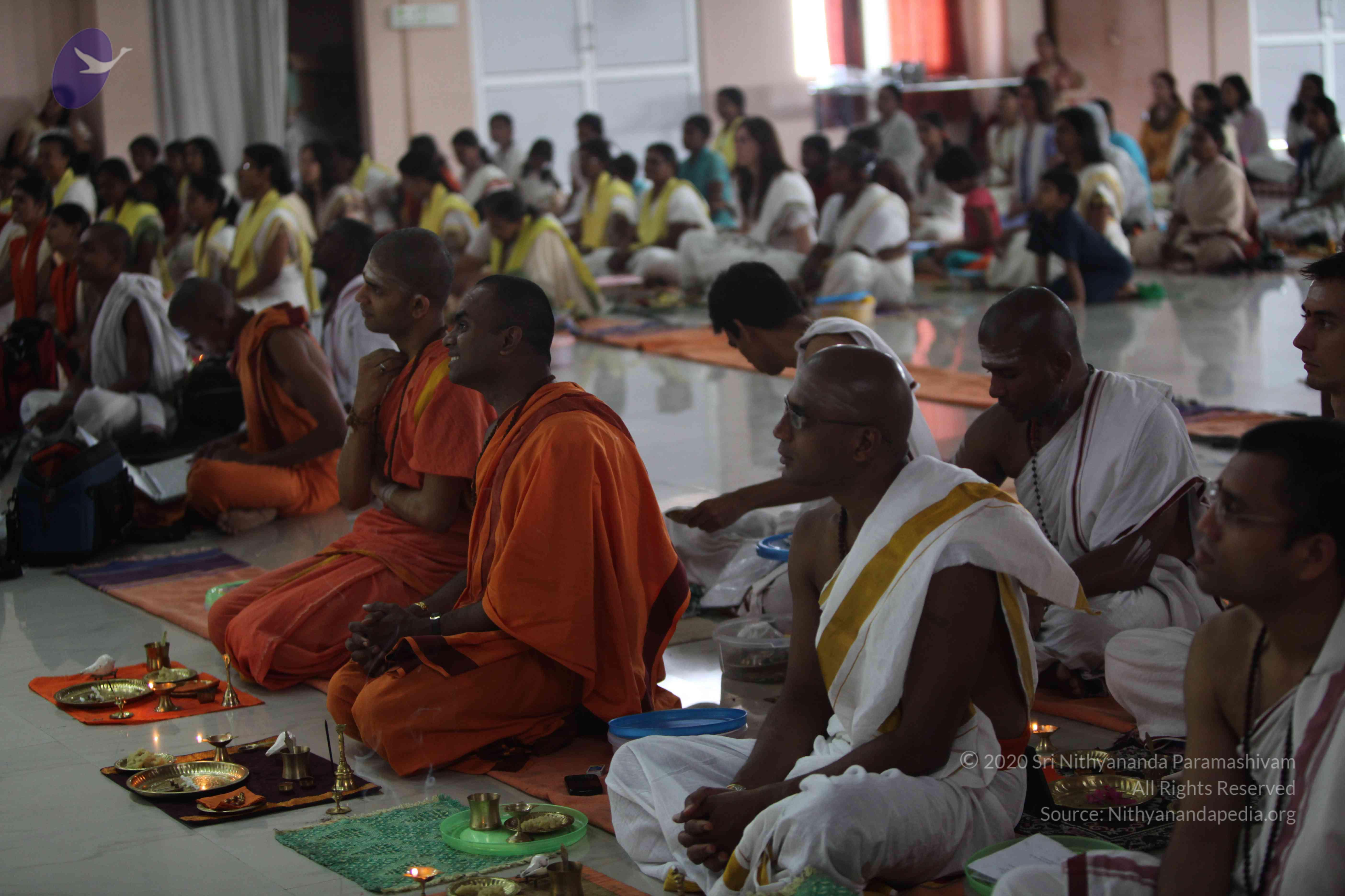 20110216_Photo_1102_IMG_1140_CMP_WM