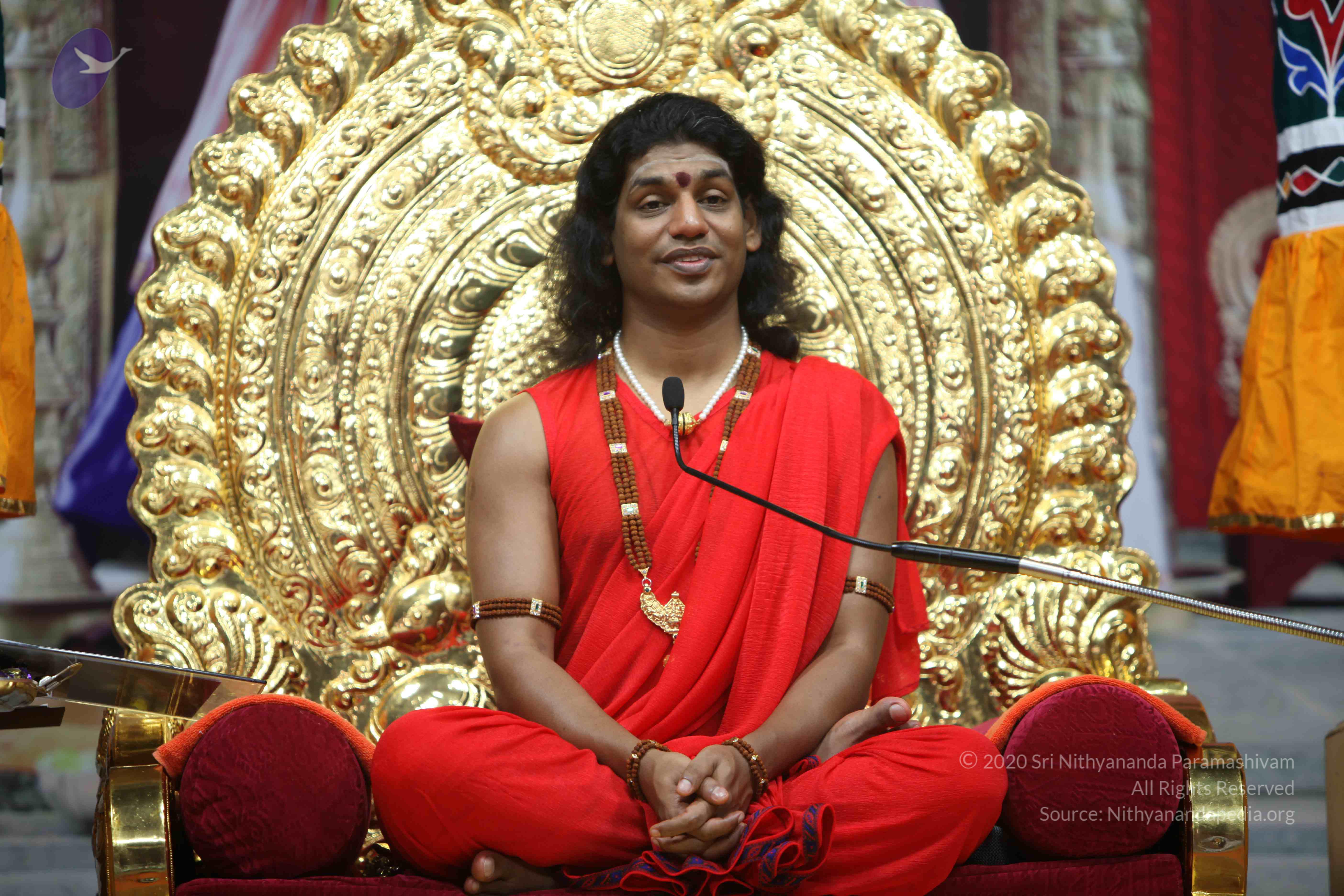 20110216_Photo_1106_IMG_1133_CMP_WM