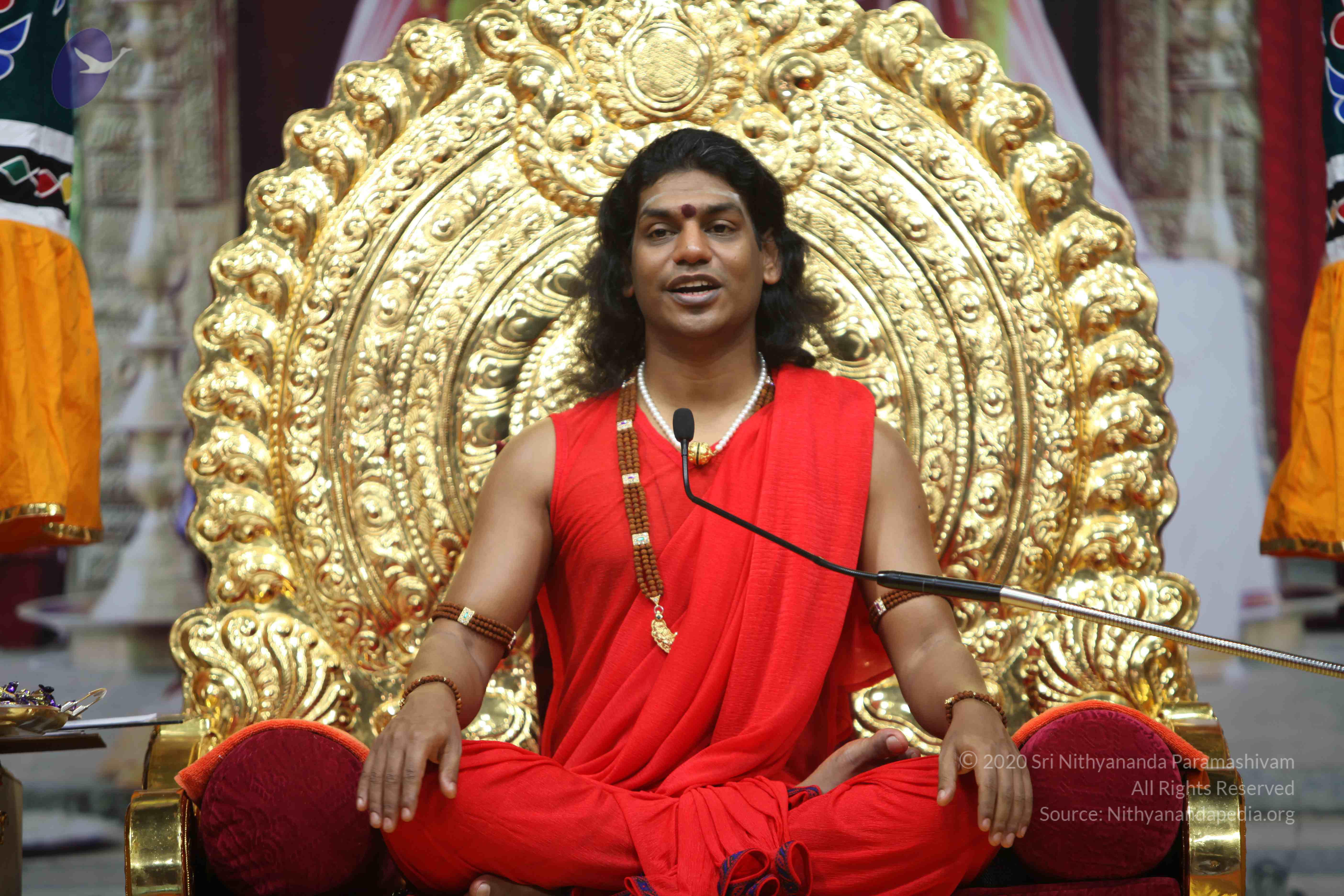 20110216_Photo_1108_IMG_1166_CMP_WM