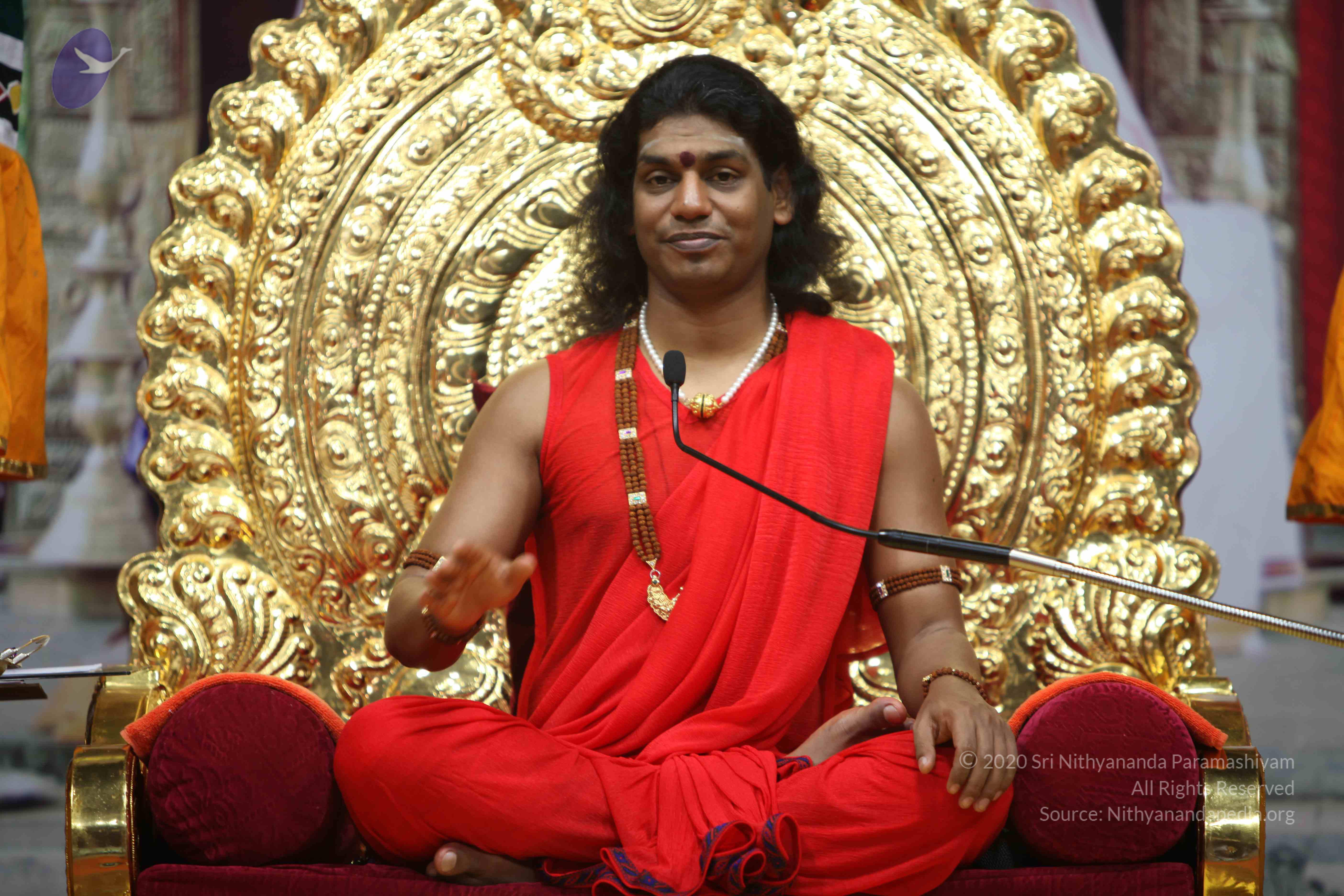 20110216_Photo_1110_IMG_1185_CMP_WM