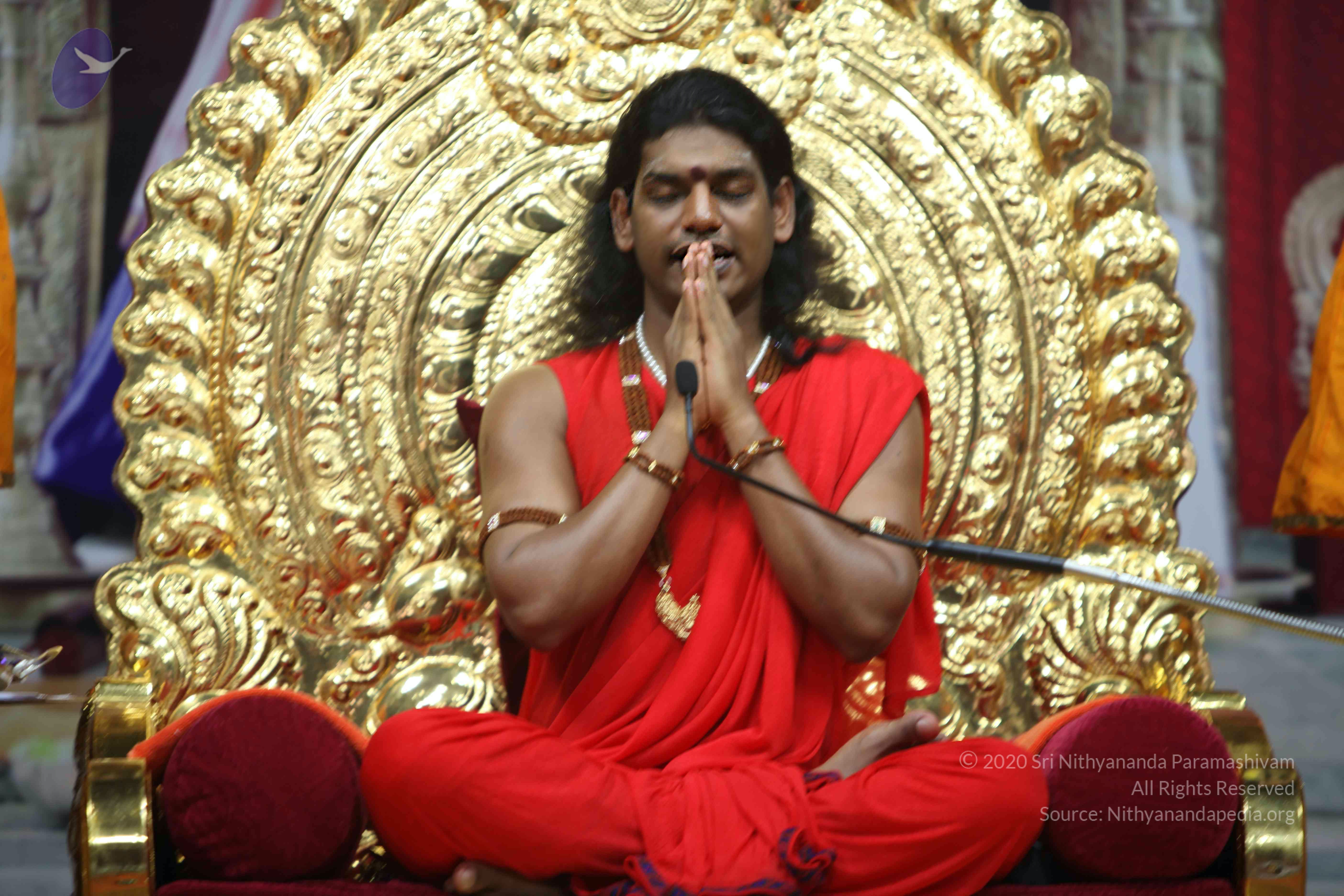 20110216_Photo_1125_IMG_1230_CMP_WM