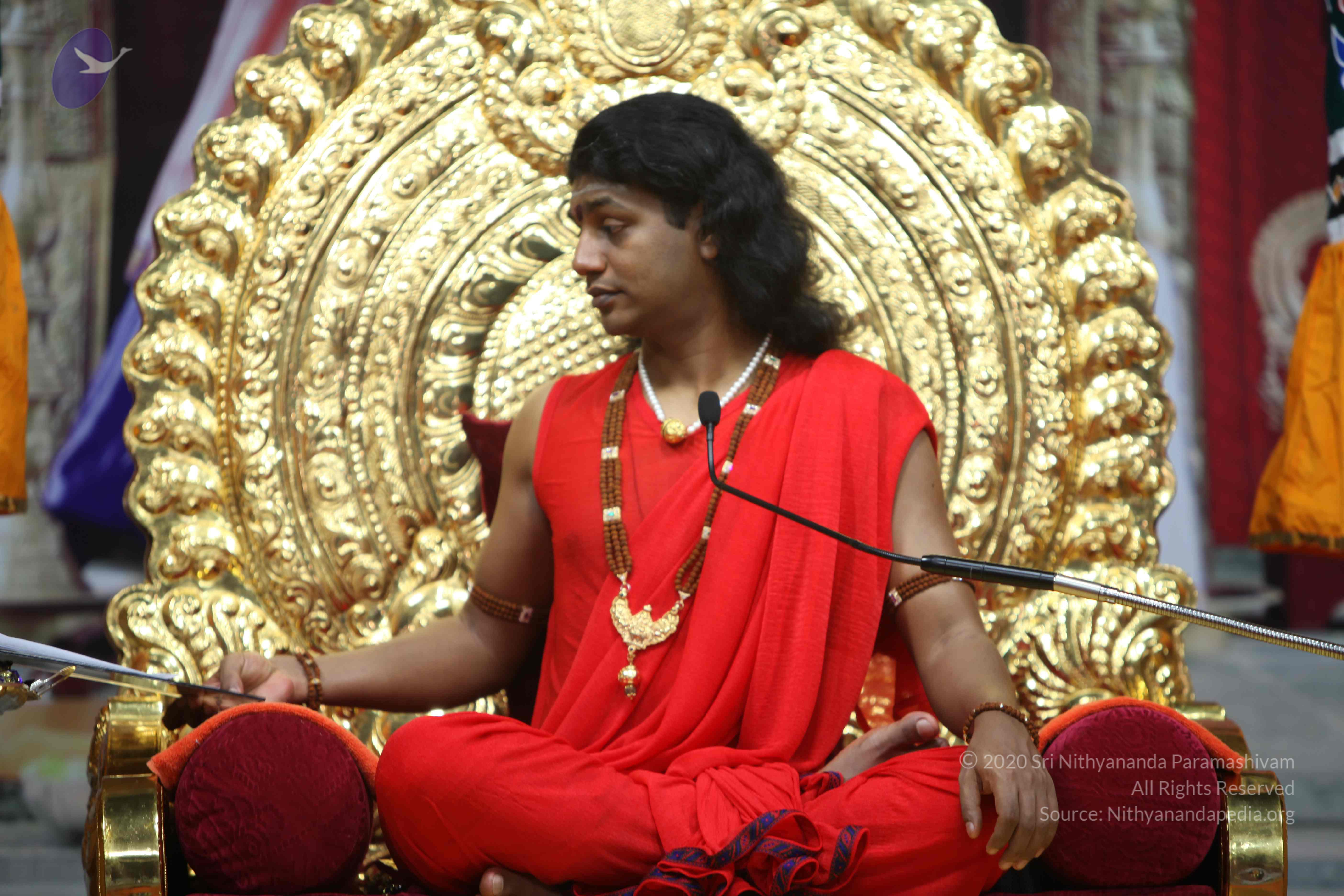 20110216_Photo_1128_IMG_1099_CMP_WM