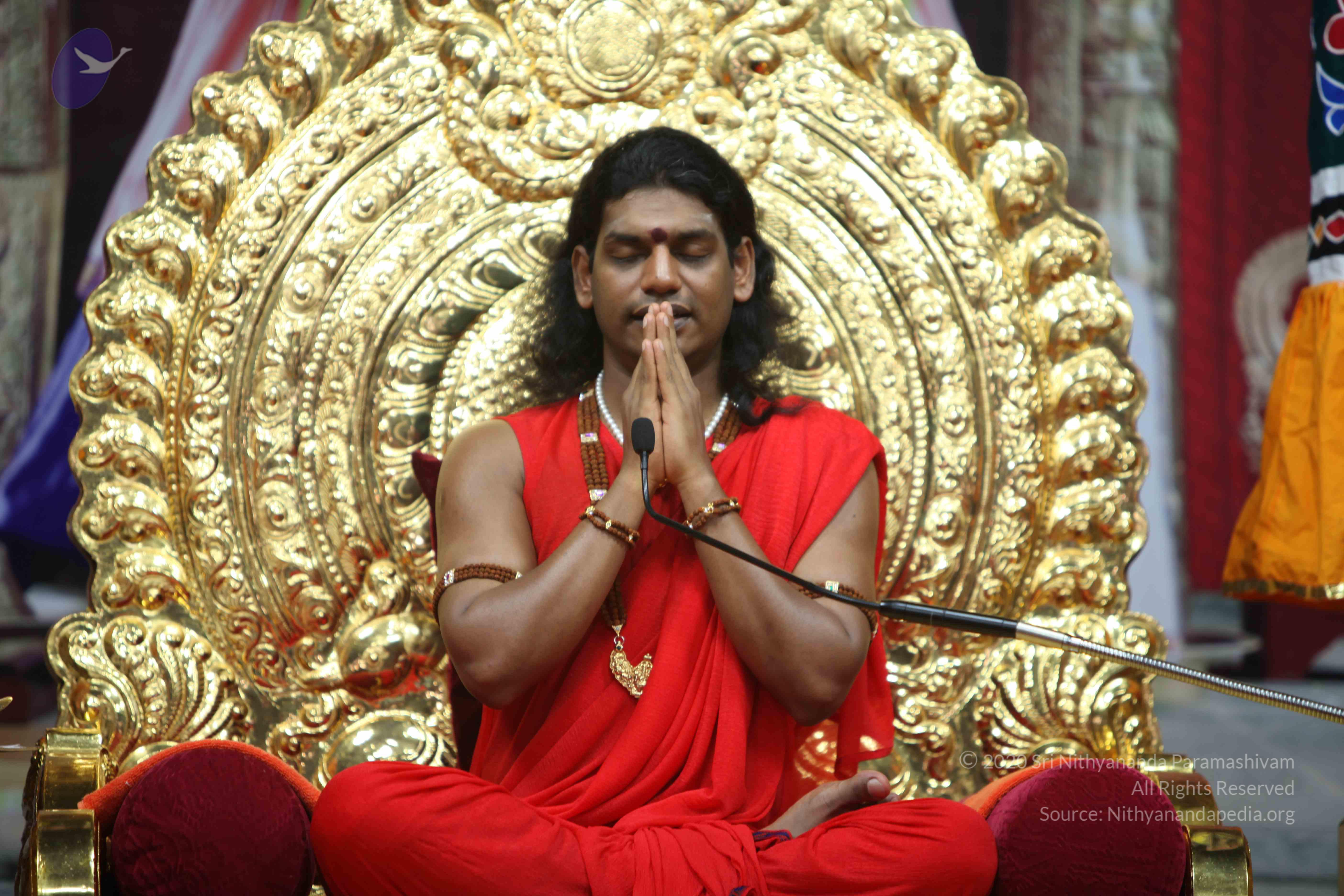 20110216_Photo_1015_IMG_1233_CMP_WM