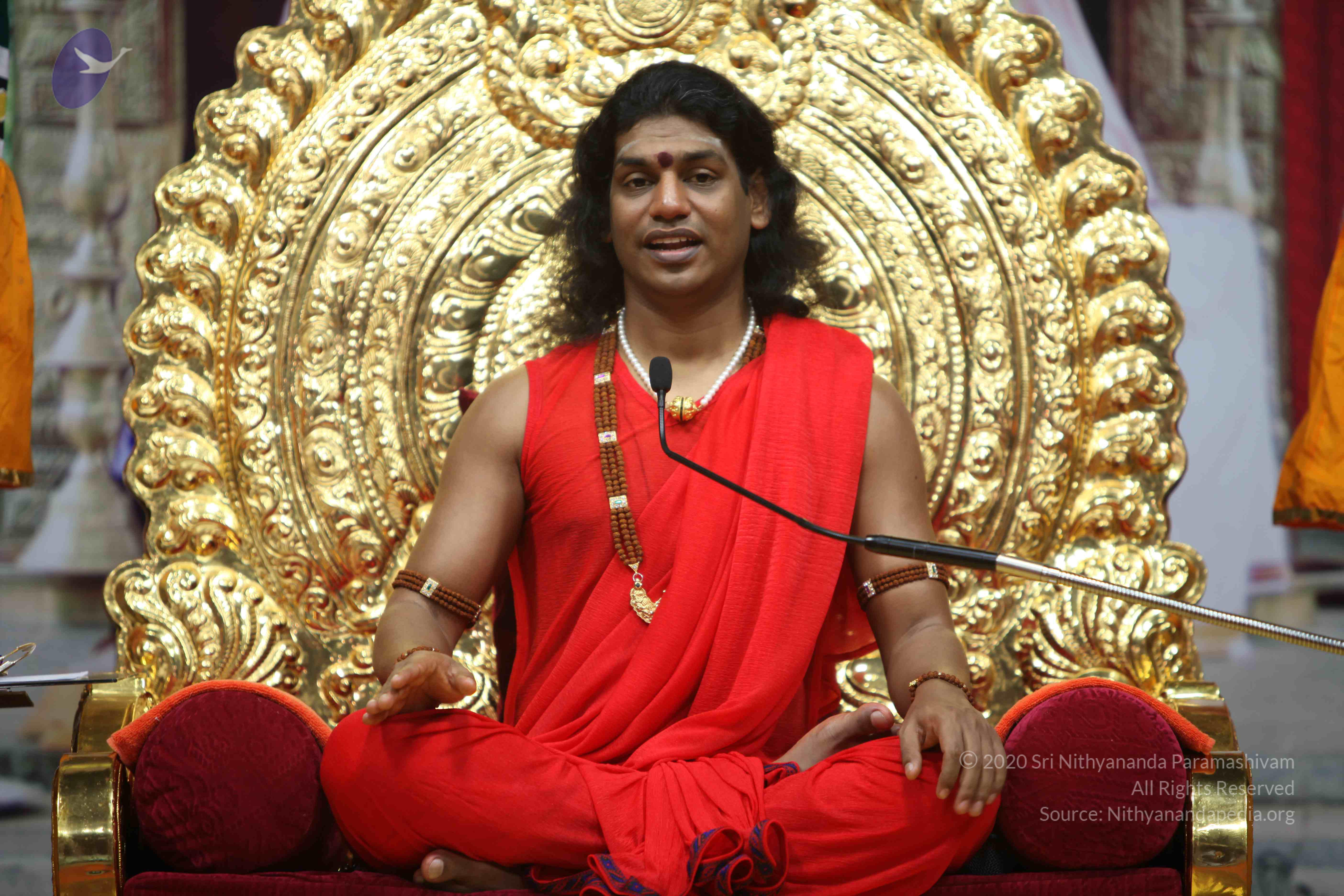 20110216_Photo_1030_IMG_1186_CMP_WM