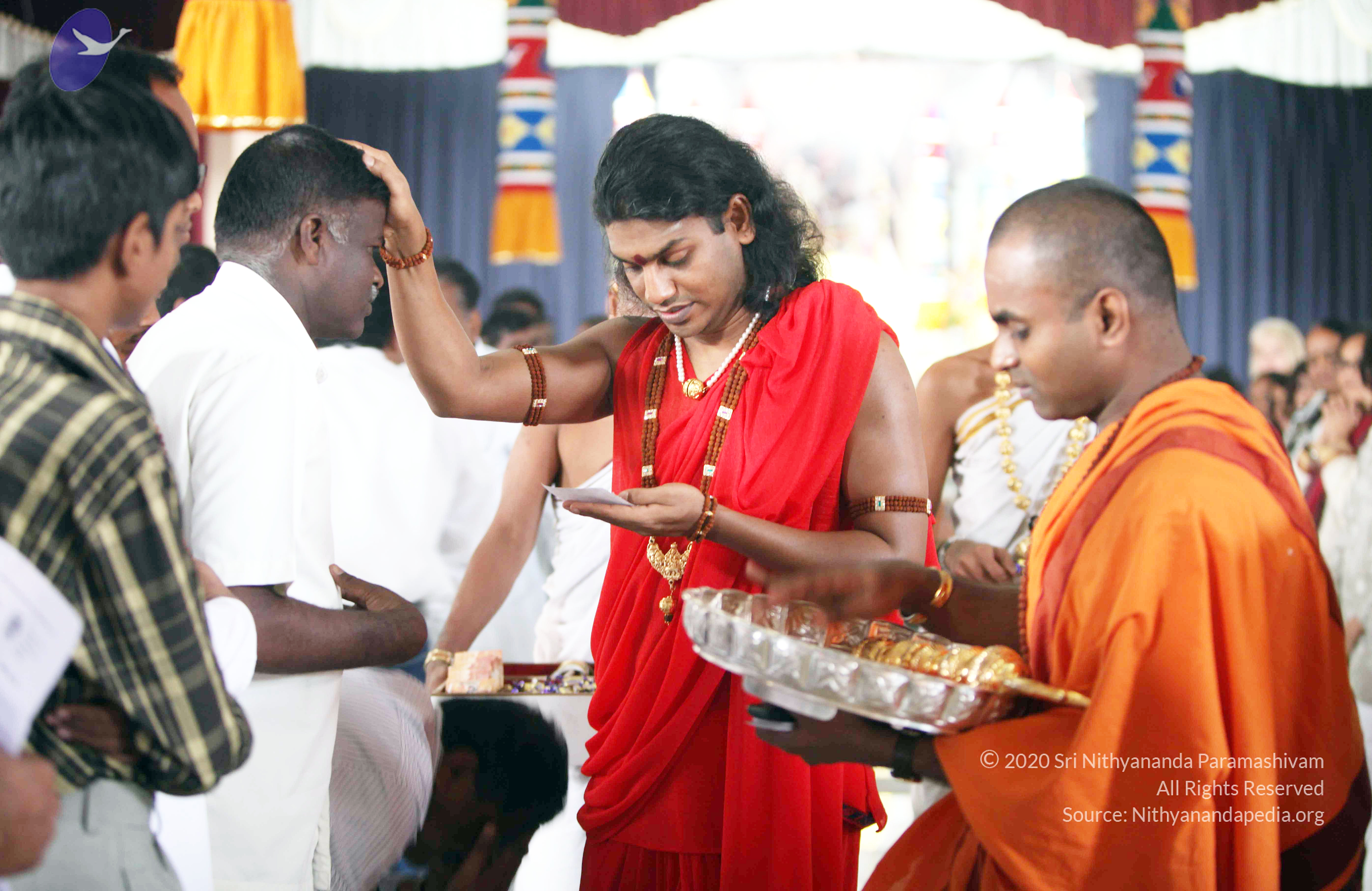 20110216_Photo_1022_IMG_1291_CMP_WM