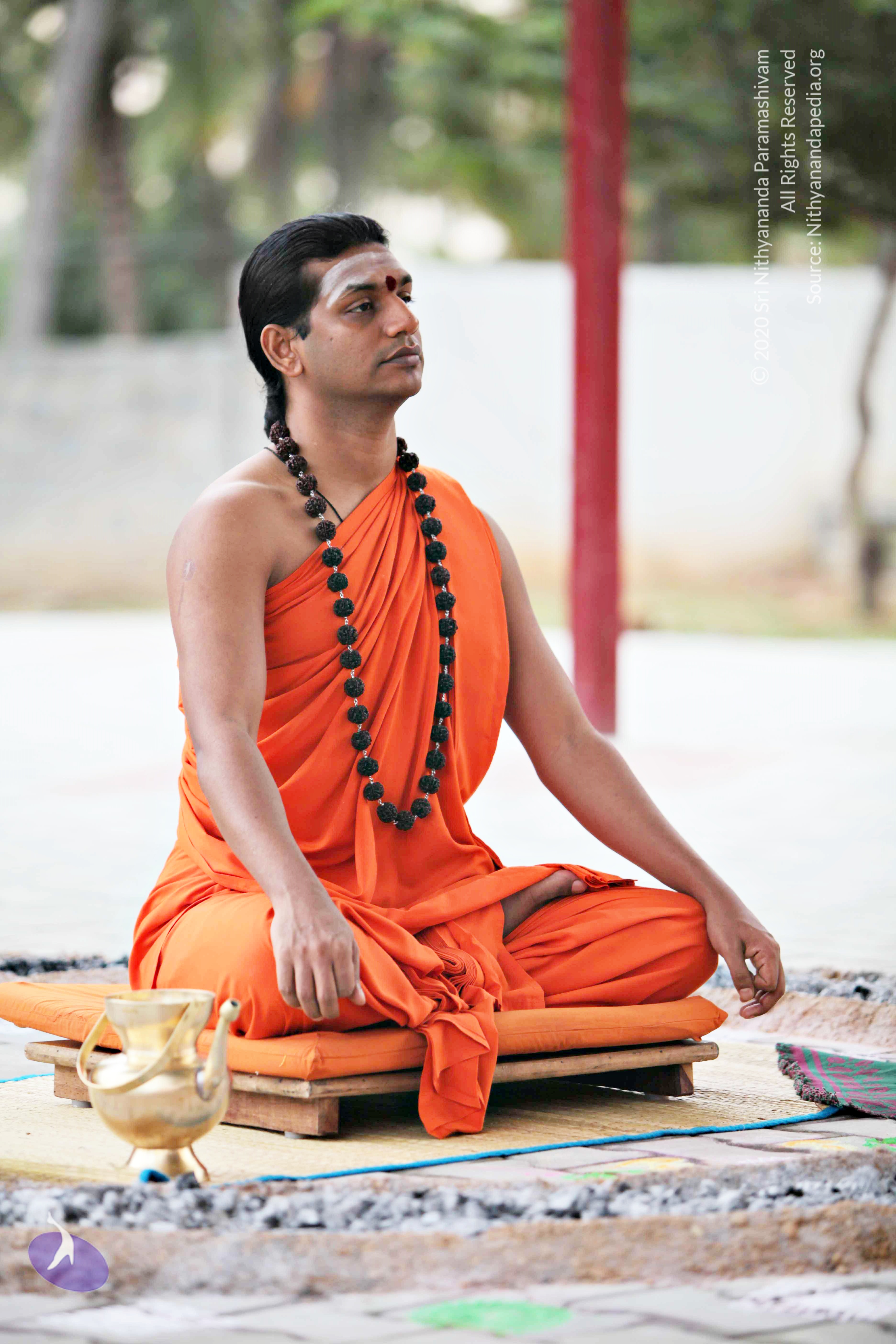 20110225_Photo_1002_IMG_0826_CMP_WM