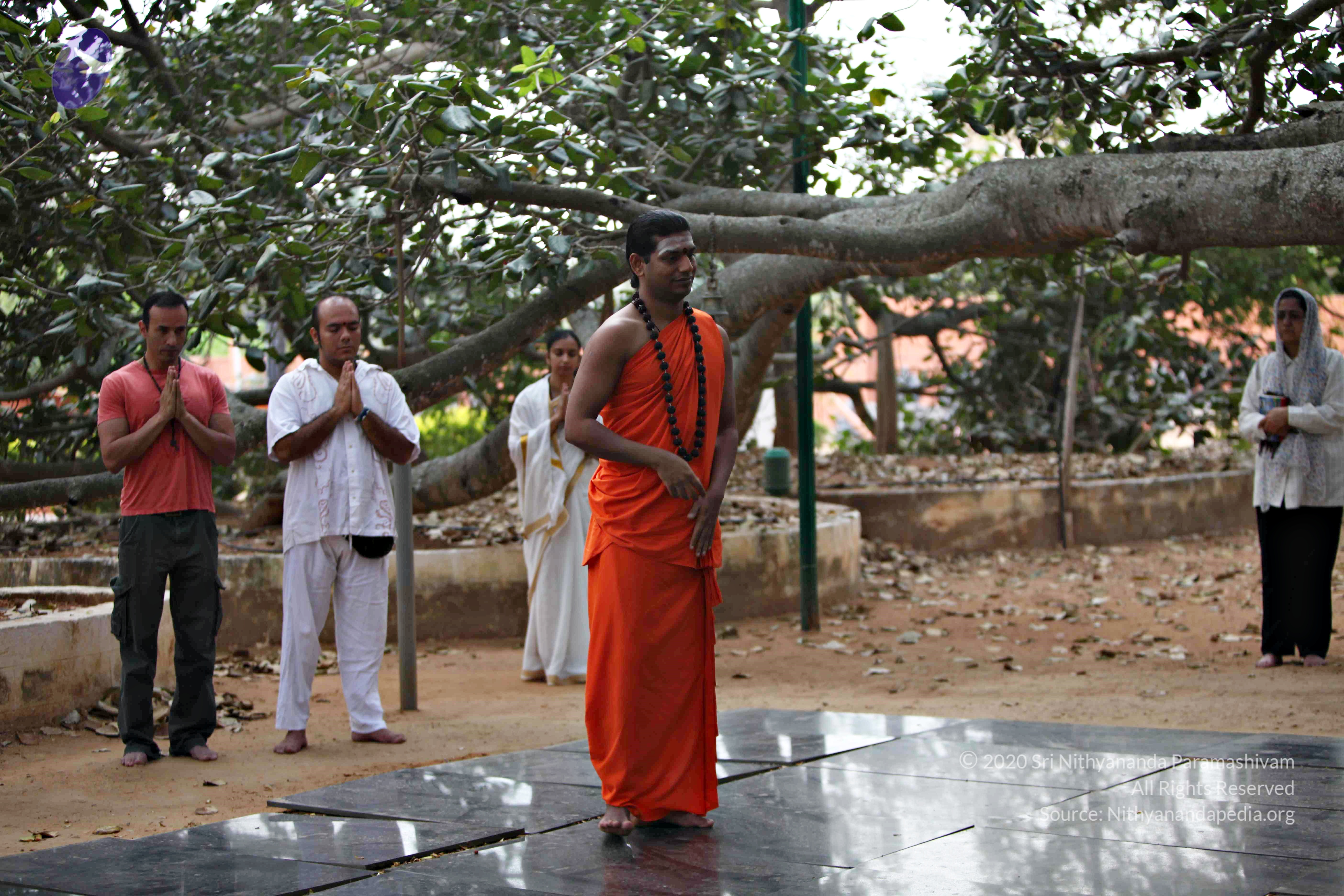 20110225_Photo_1004_IMG_0788_CMP_WM