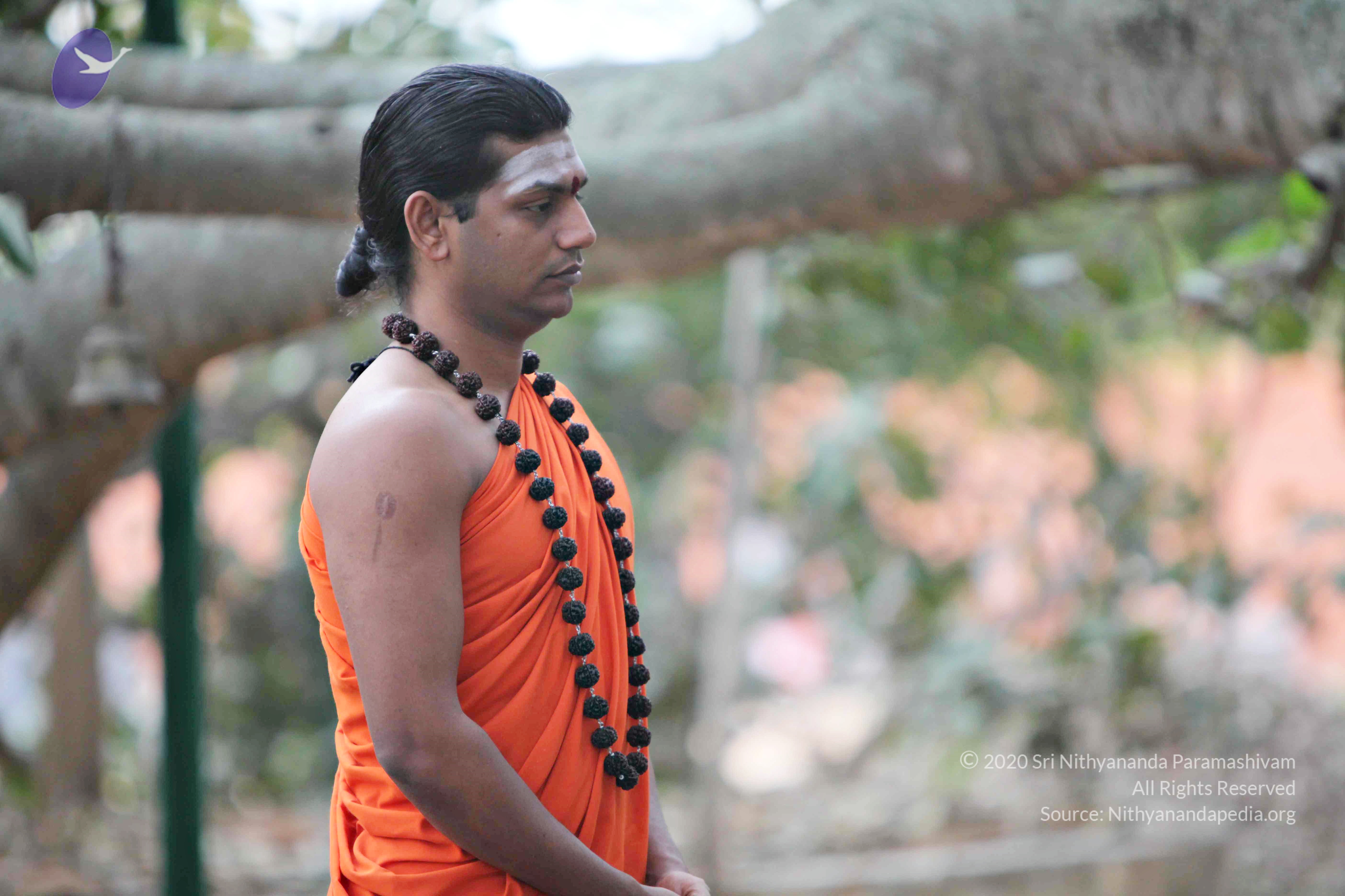 20110225_Photo_1006_IMG_0777_CMP_WM