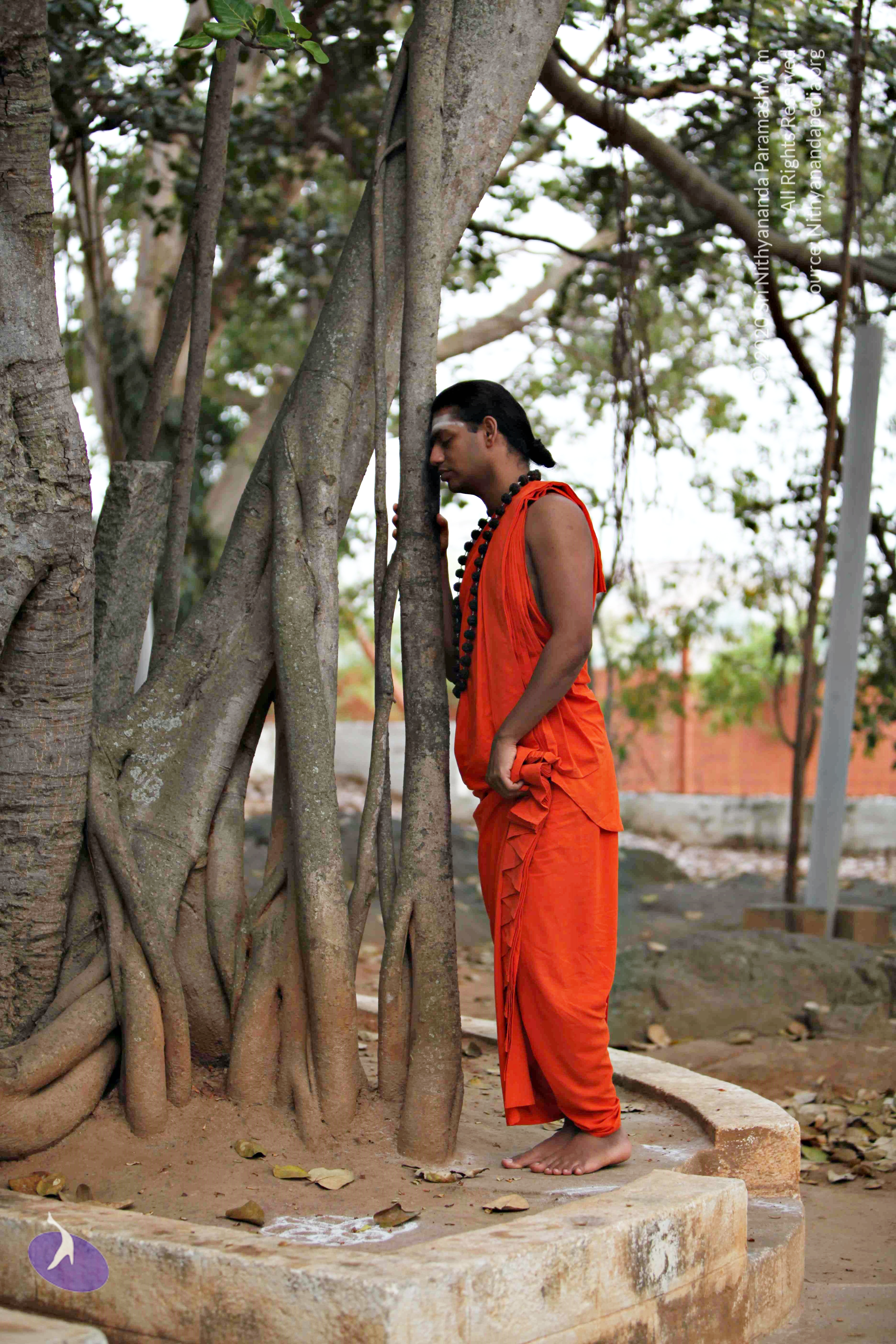 20110225_Photo_1007_IMG_0766_CMP_WM