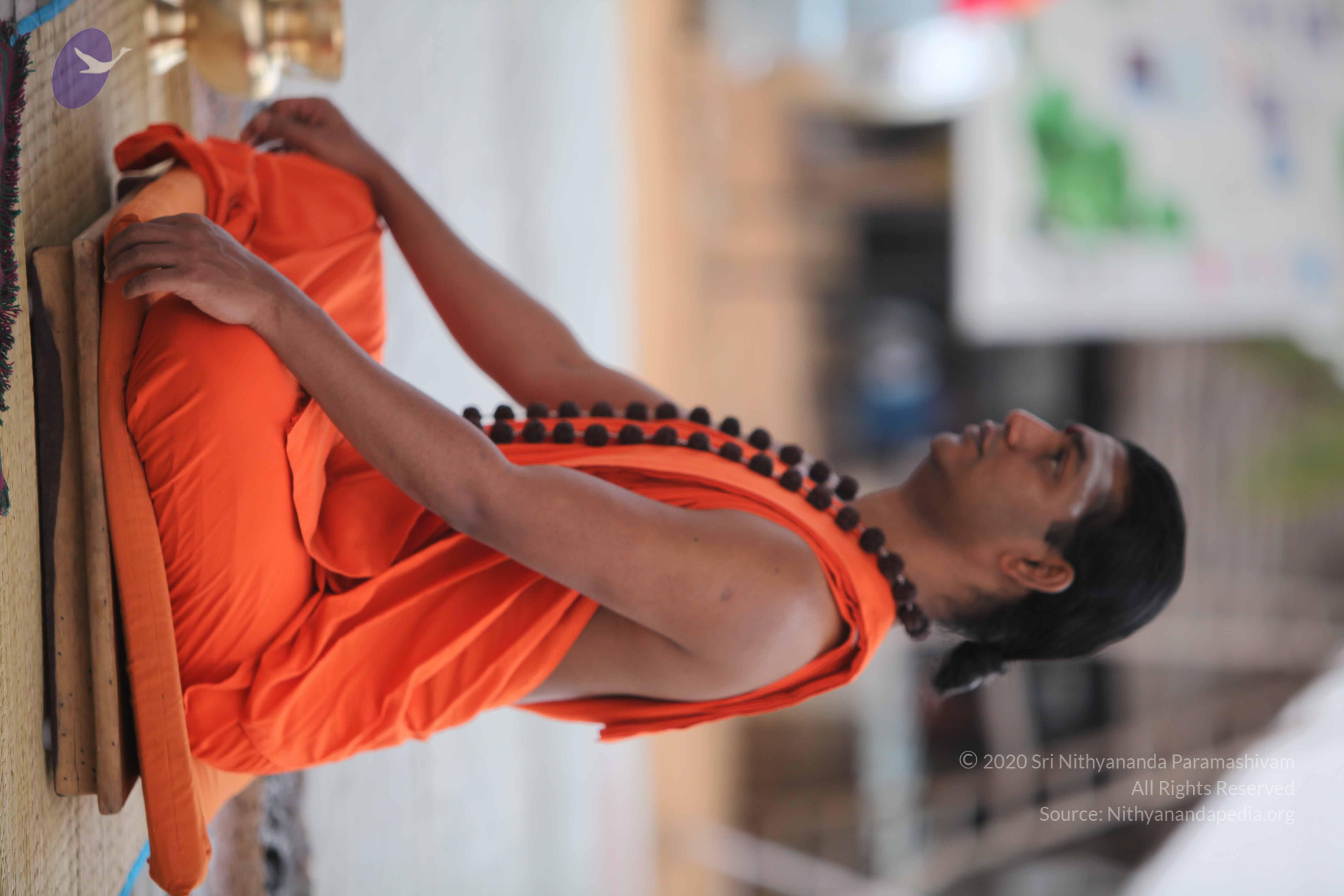 20110225_Photo_1012_IMG_0837_CMP_WM