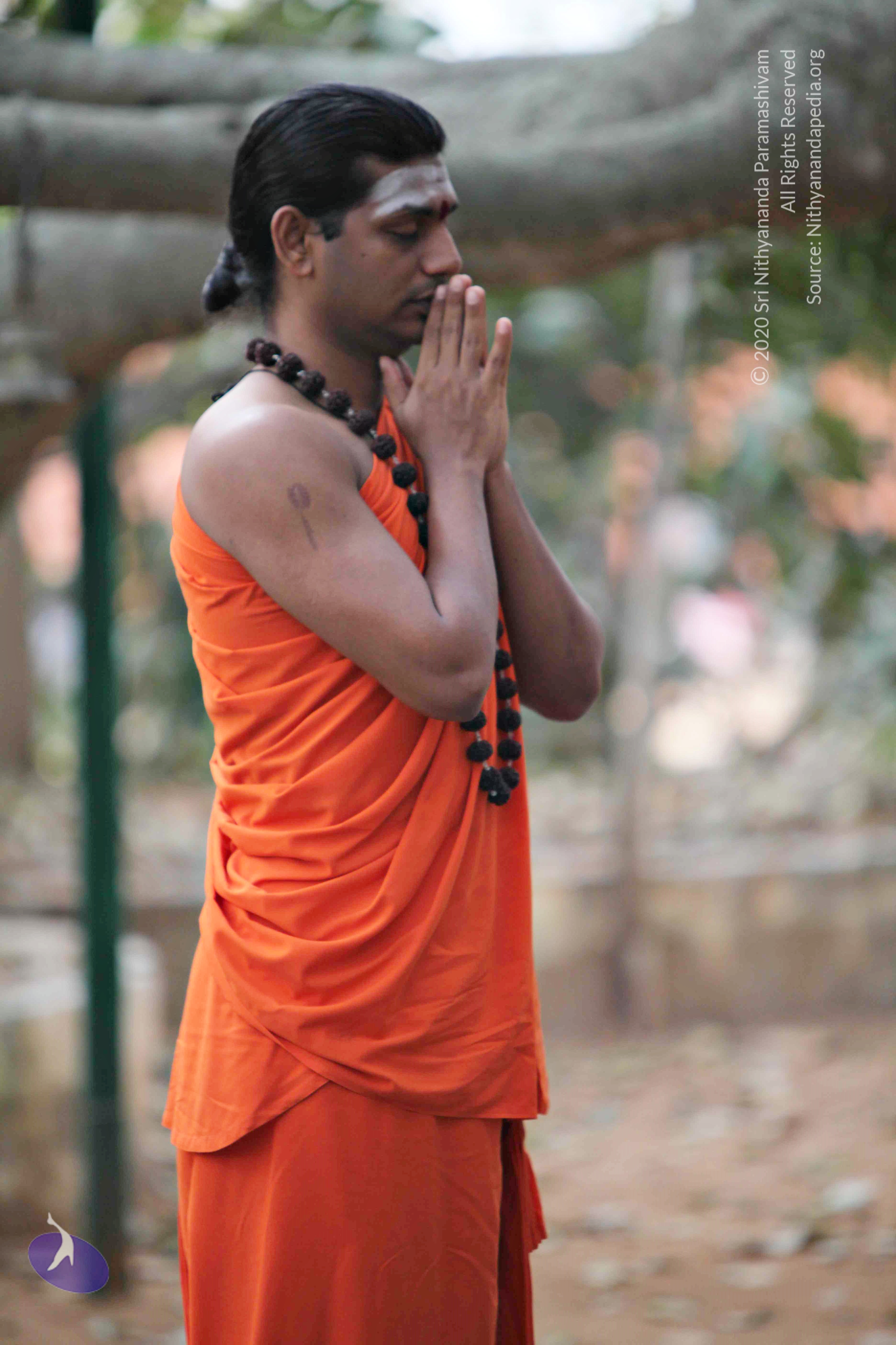 20110225_Photo_1014_IMG_0785_CMP_WM