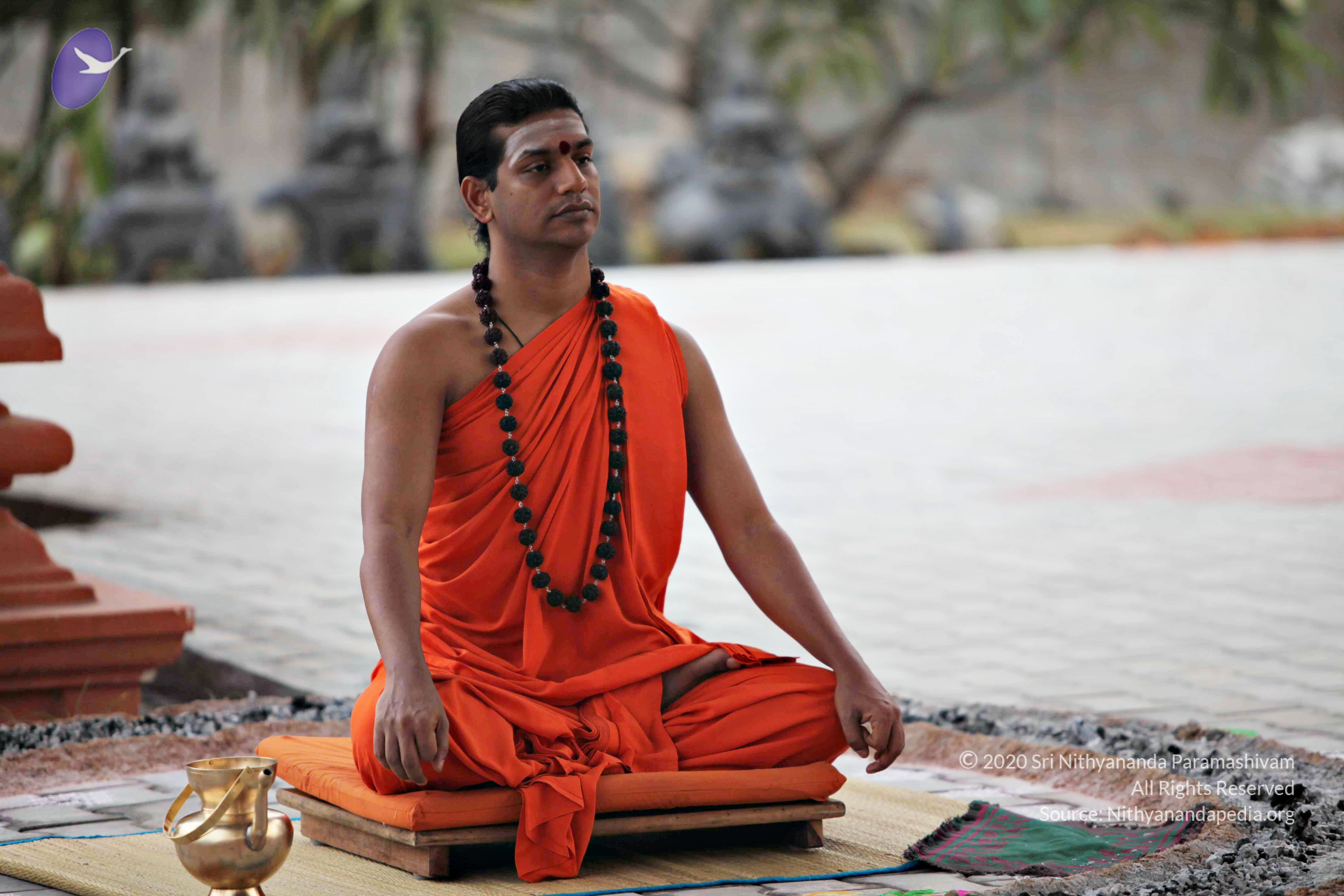 20110225_Photo_1015_IMG_0819_CMP_WM