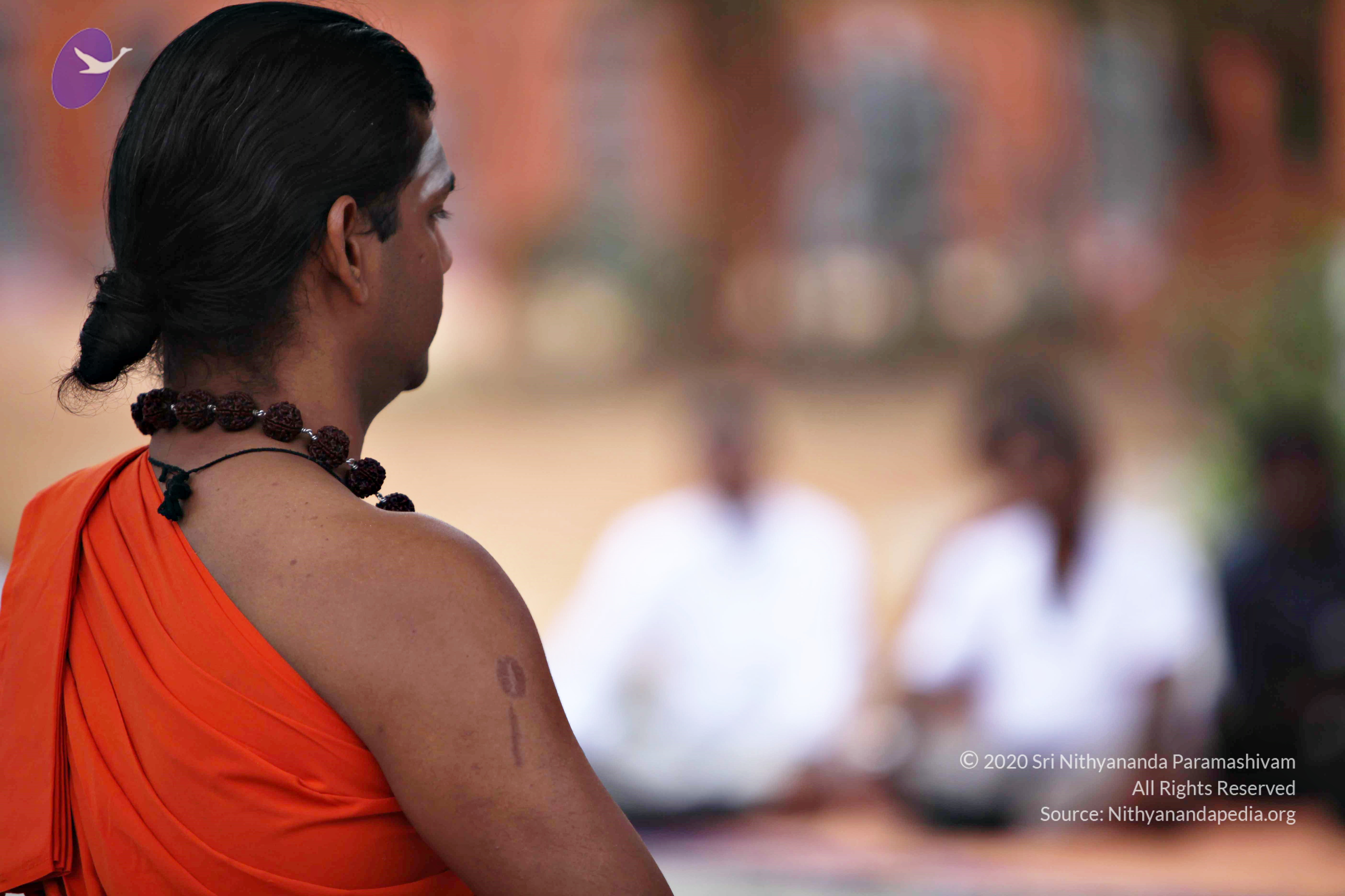 20110225_Photo_1019_IMG_0832_CMP_WM