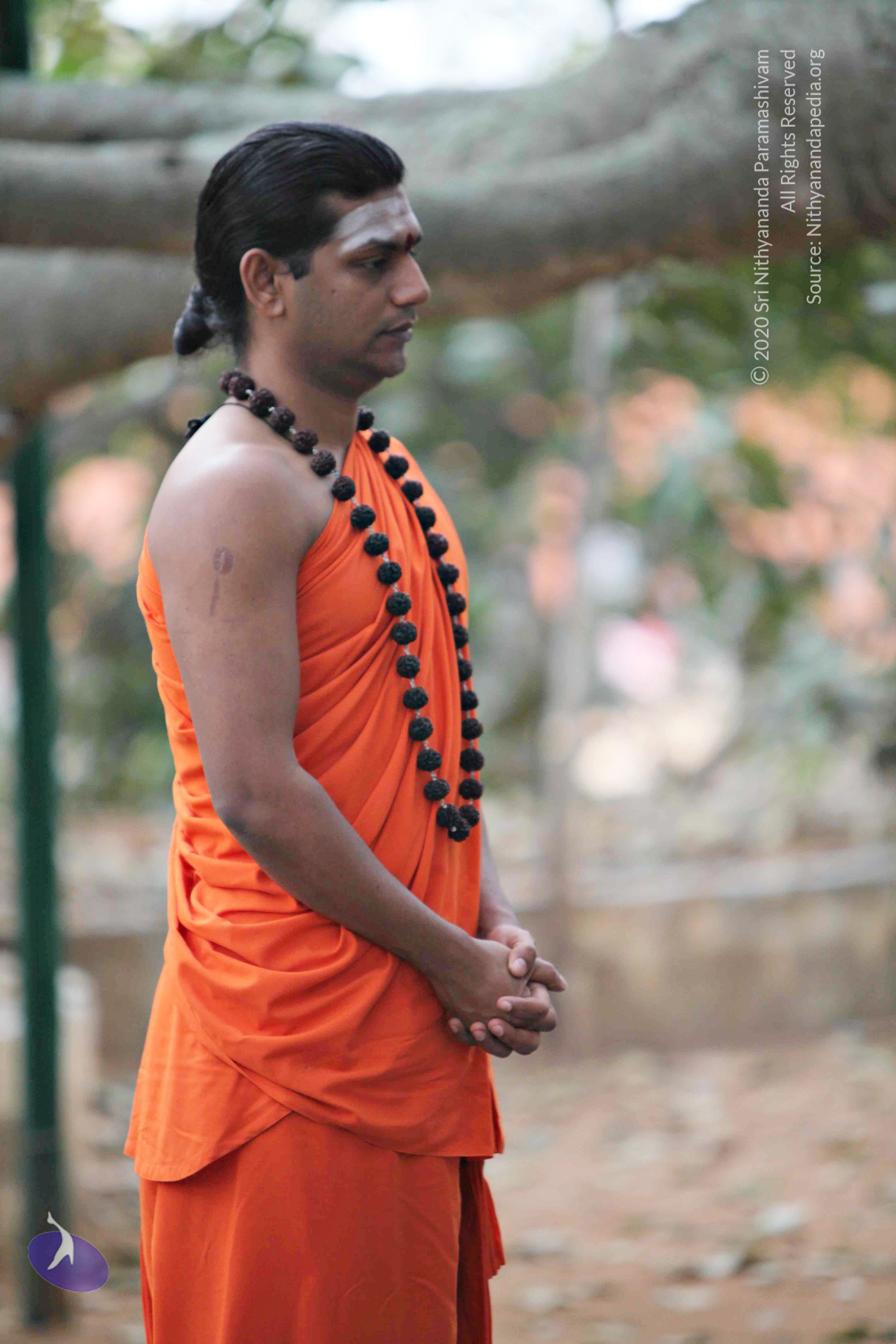 20110225_Photo_1021_IMG_0780_CMP_WM