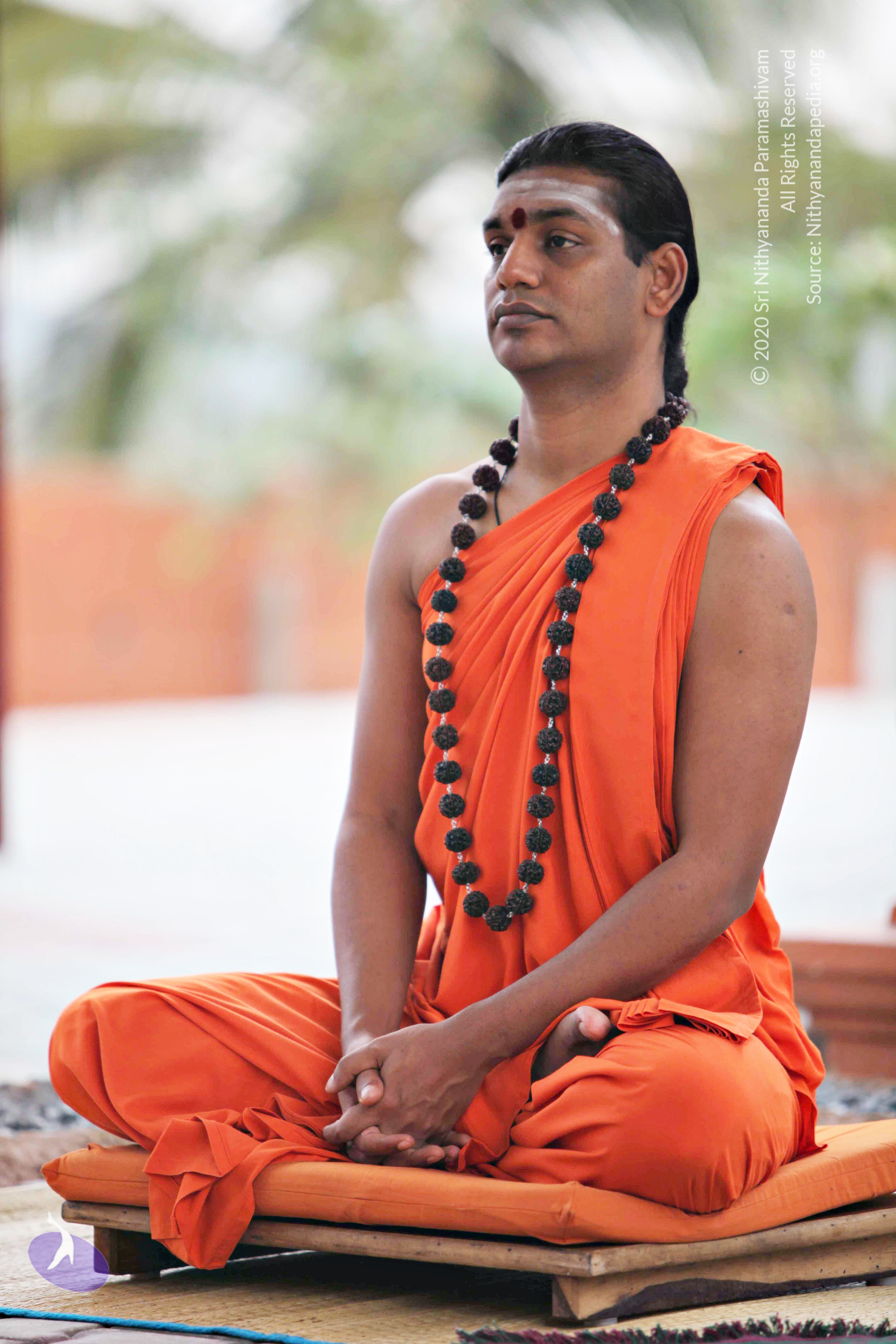 20110225_Photo_1022_IMG_0850_CMP_WM