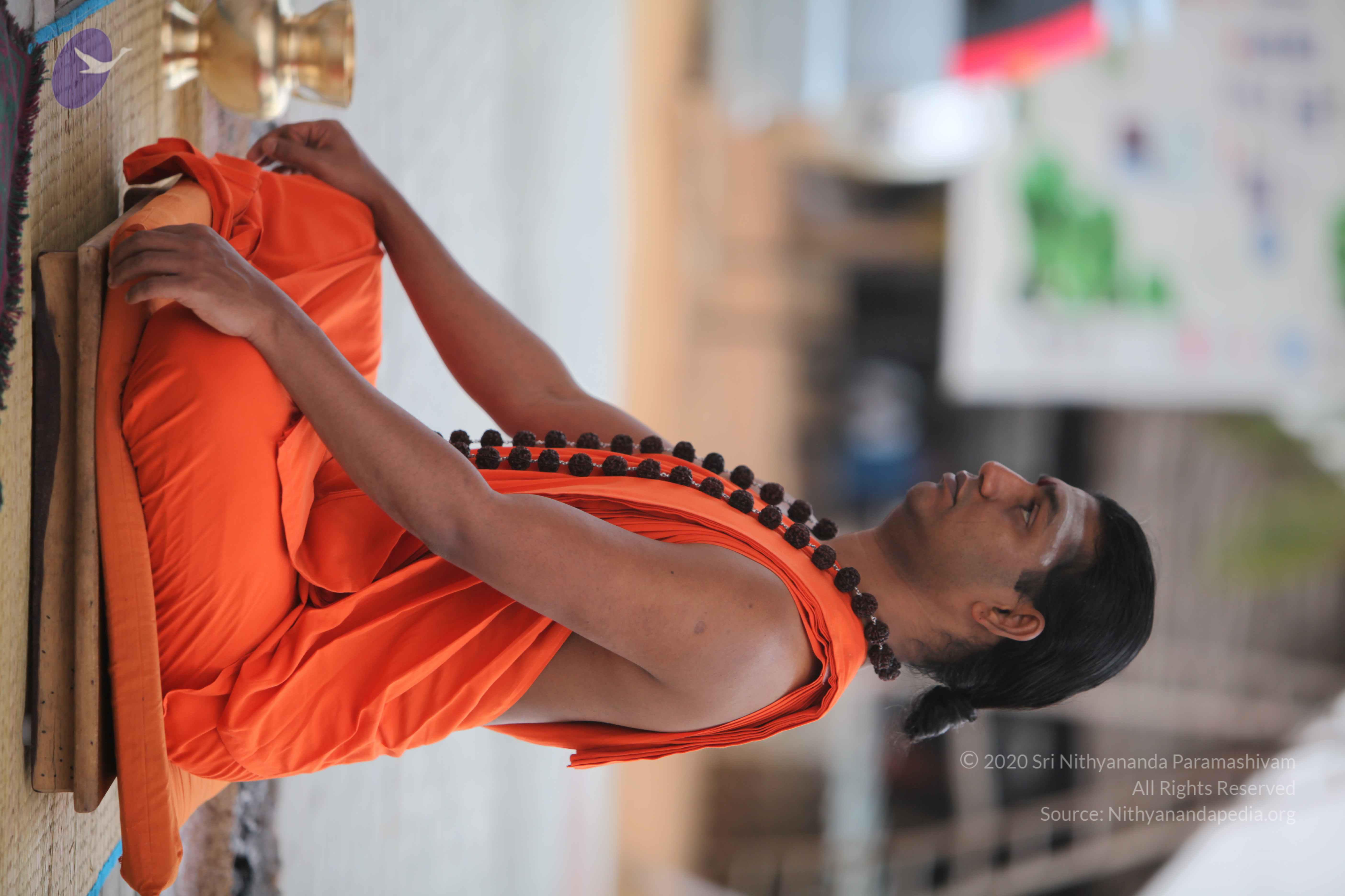 20110225_Photo_1025_IMG_0841_CMP_WM