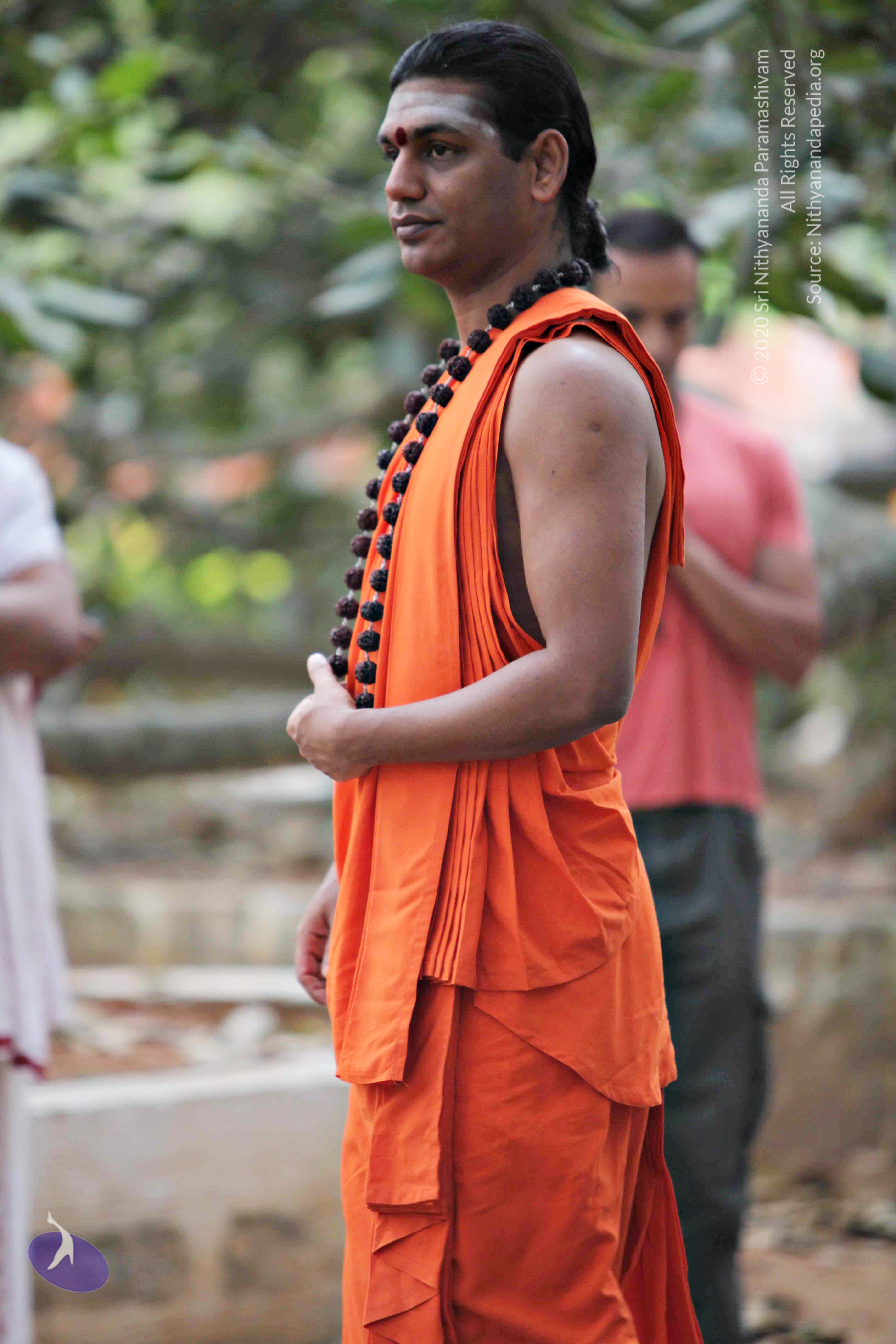 20110225_Photo_1026_IMG_0791_CMP_WM