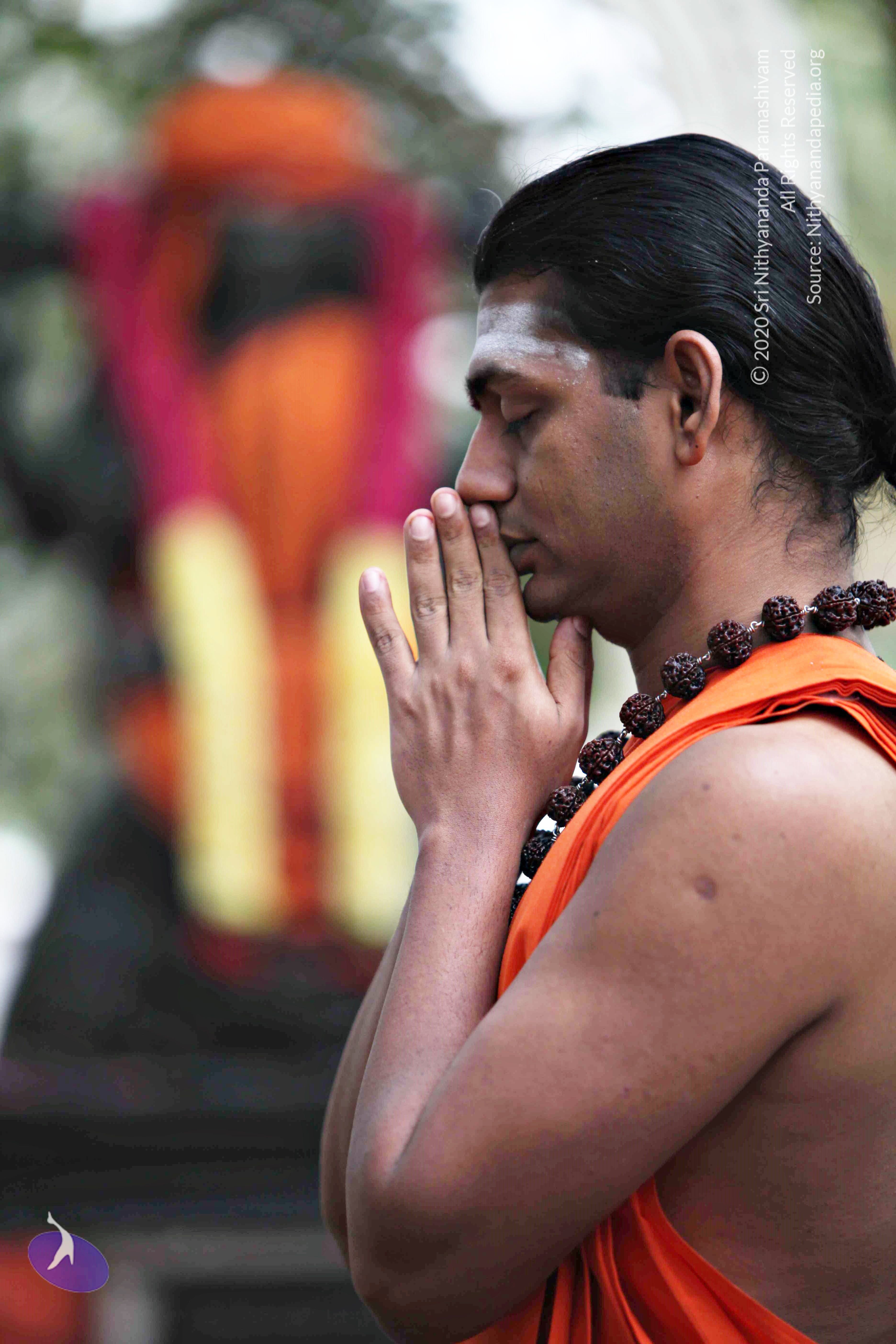 20110225_Photo_1029_IMG_0772_CMP_WM