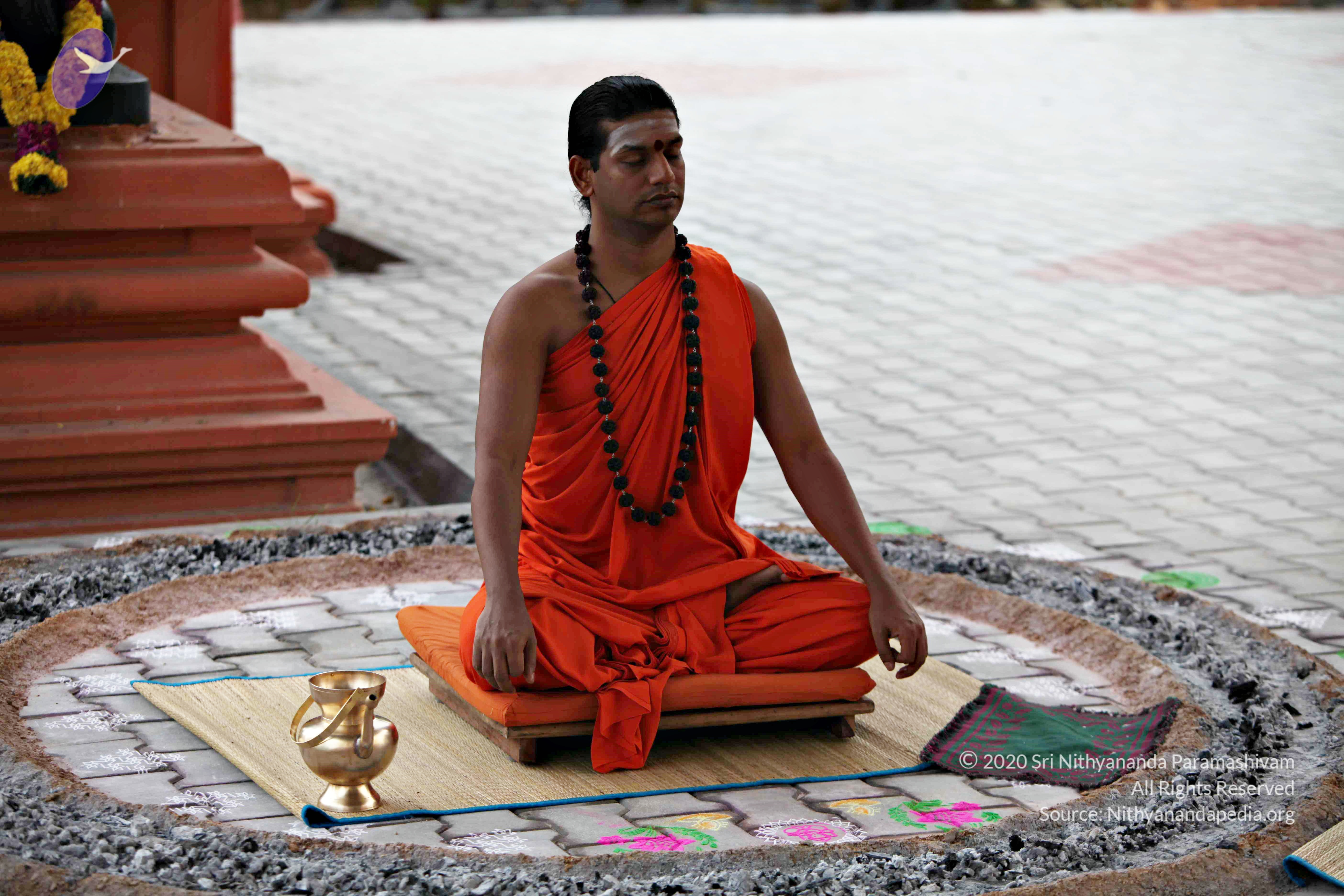 20110225_Photo_1031_IMG_0808_CMP_WM