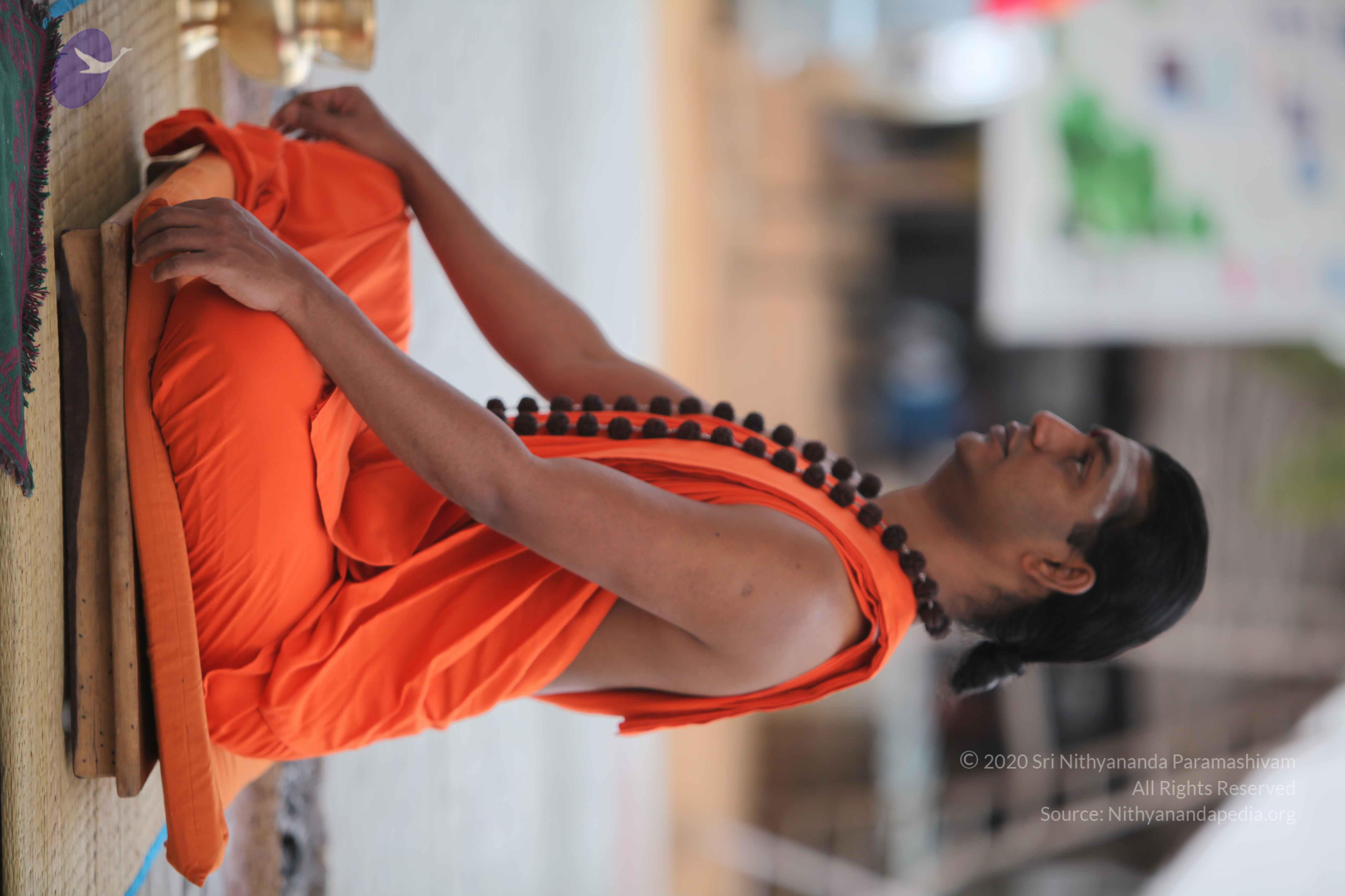 20110225_Photo_1032_IMG_0838_CMP_WM