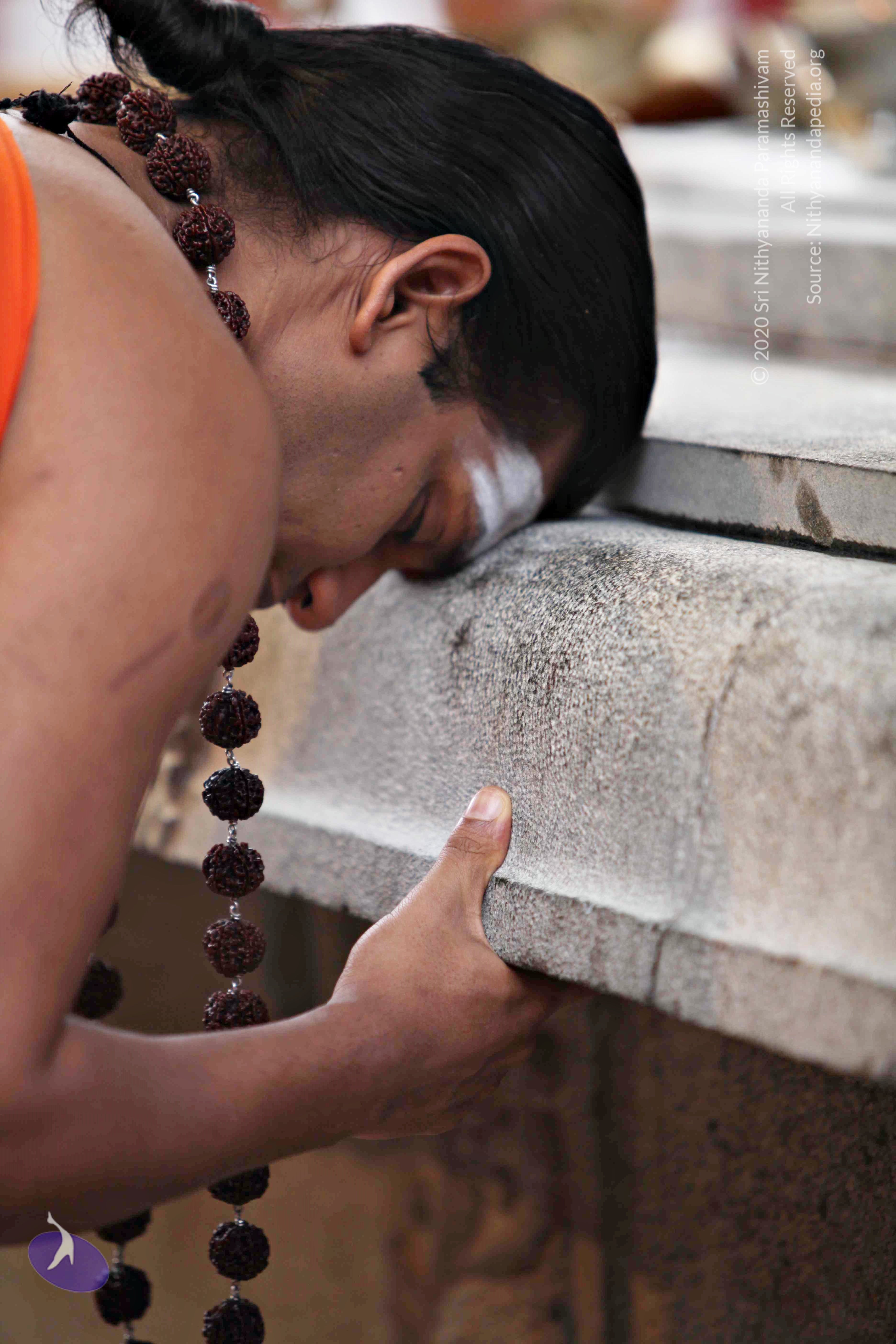 20110225_Photo_1035_IMG_0796_CMP_WM