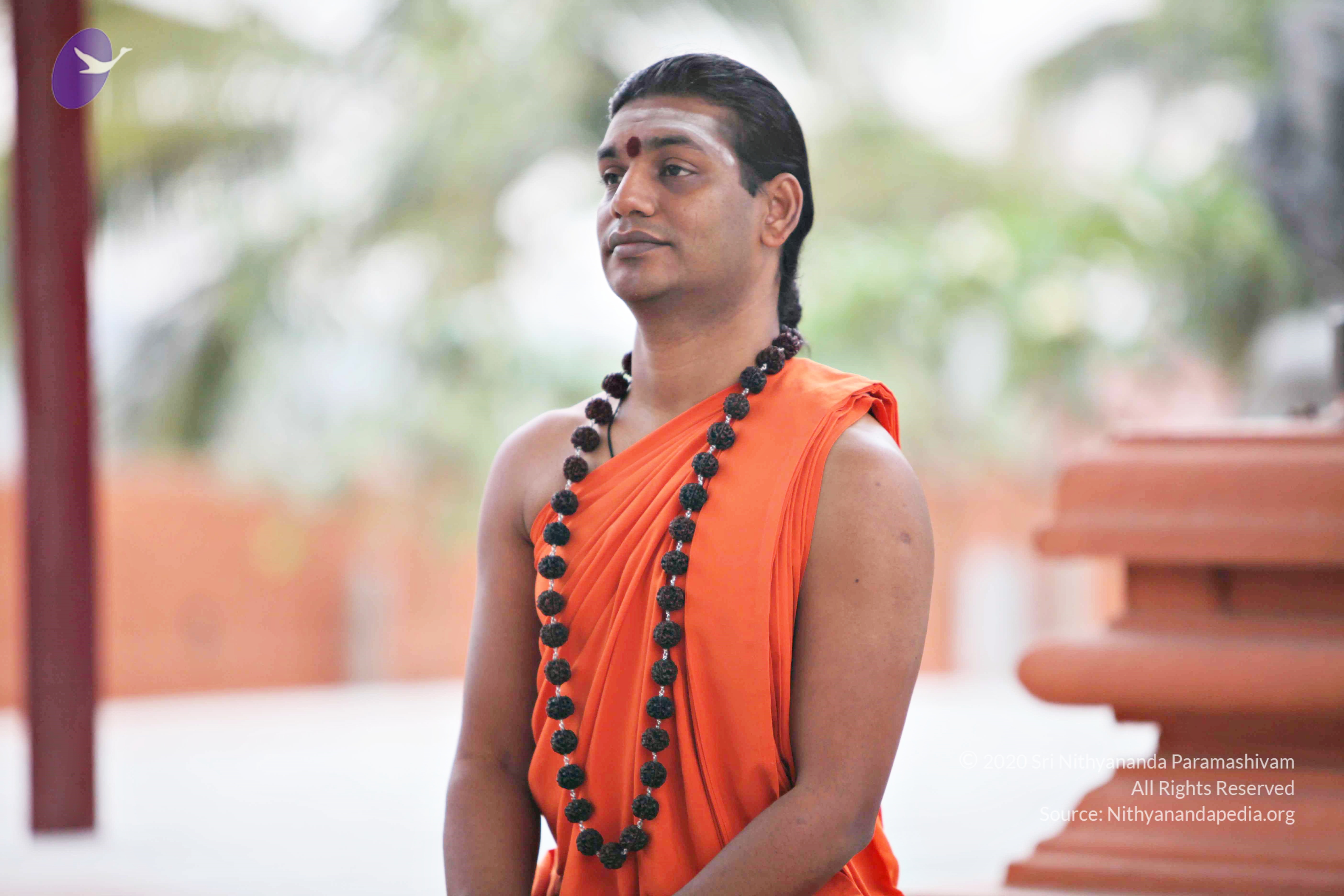 20110225_Photo_1036_IMG_0846_CMP_WM