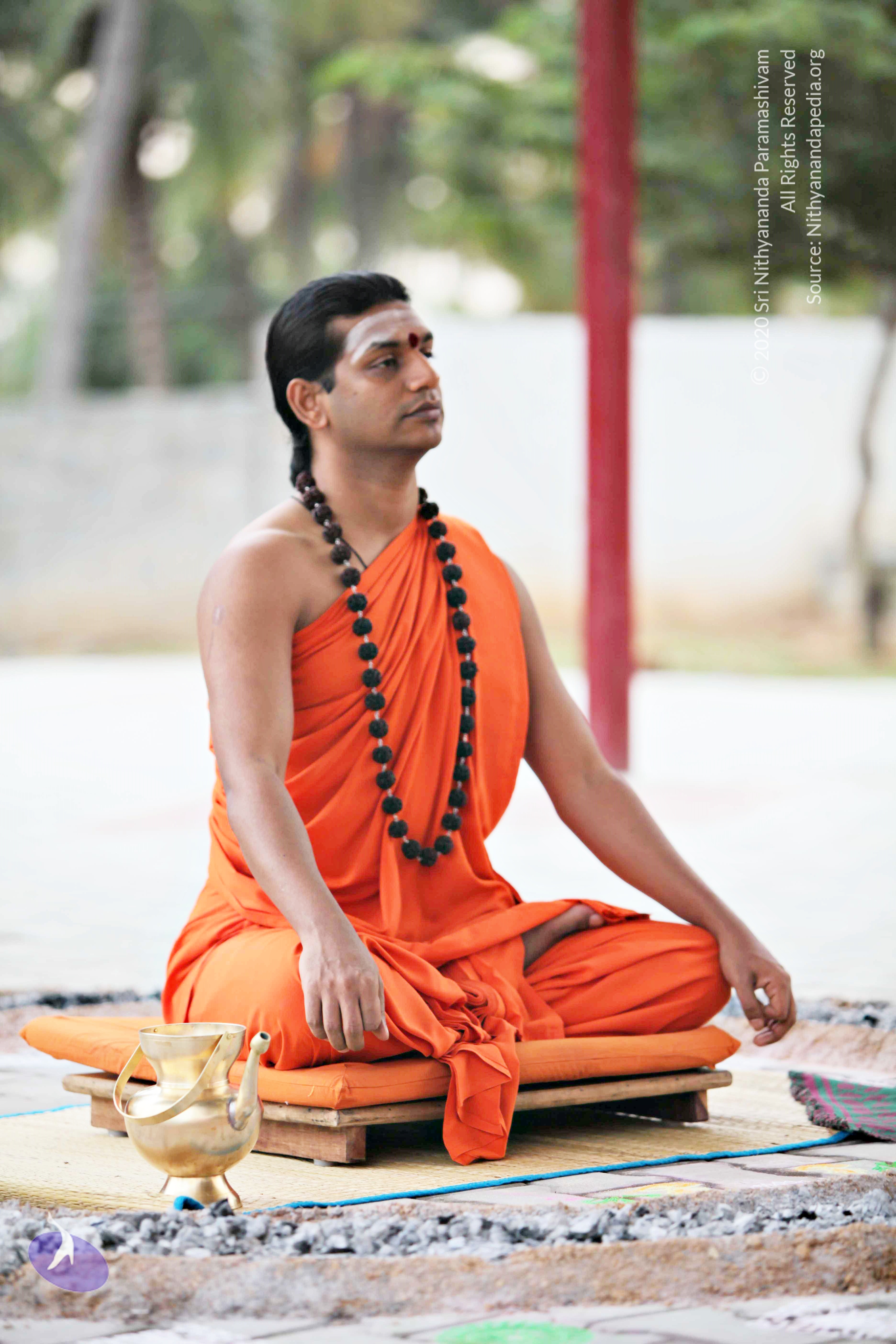 20110225_Photo_1038_IMG_0824_CMP_WM