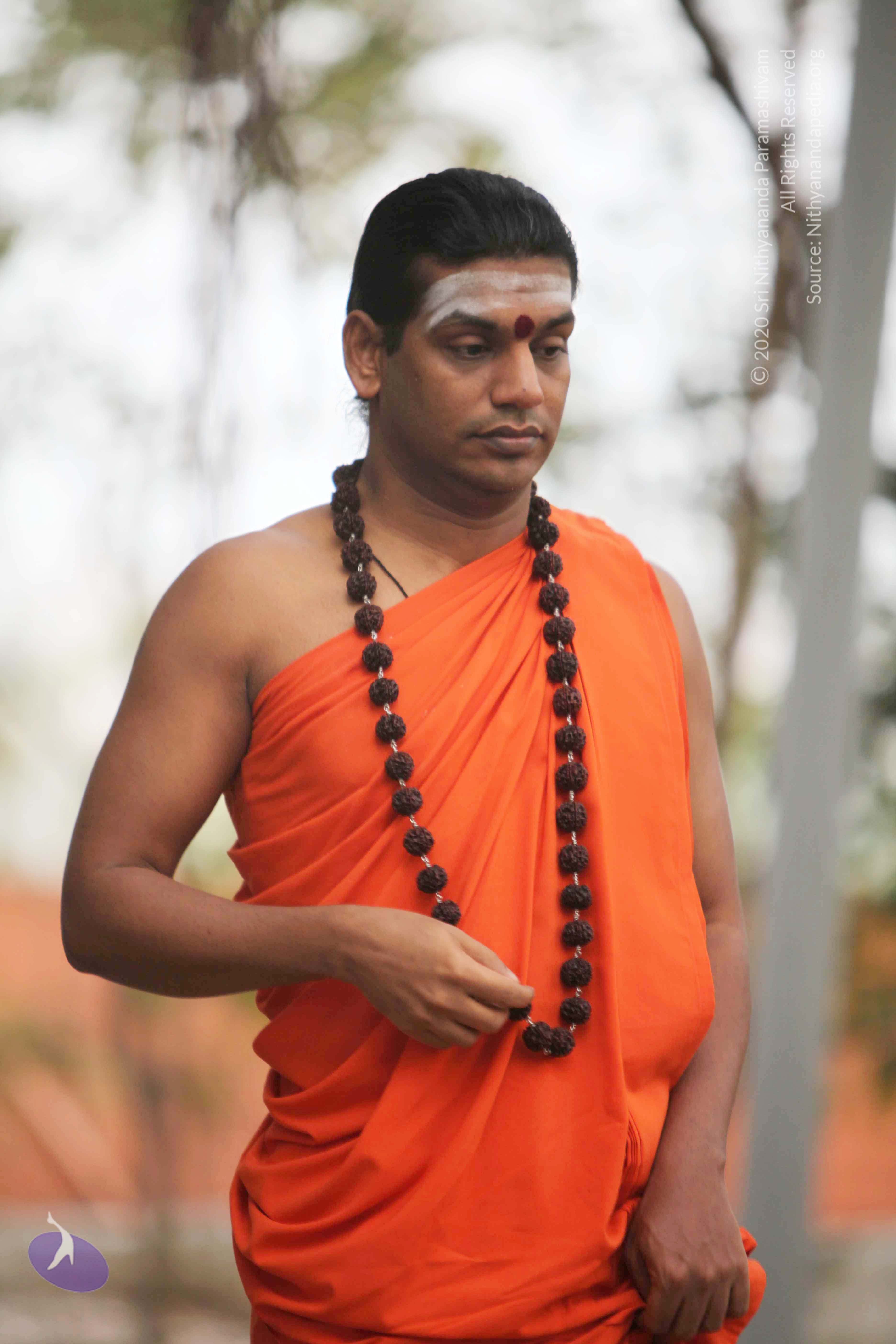 20110225_Photo_1039_IMG_0769_CMP_WM