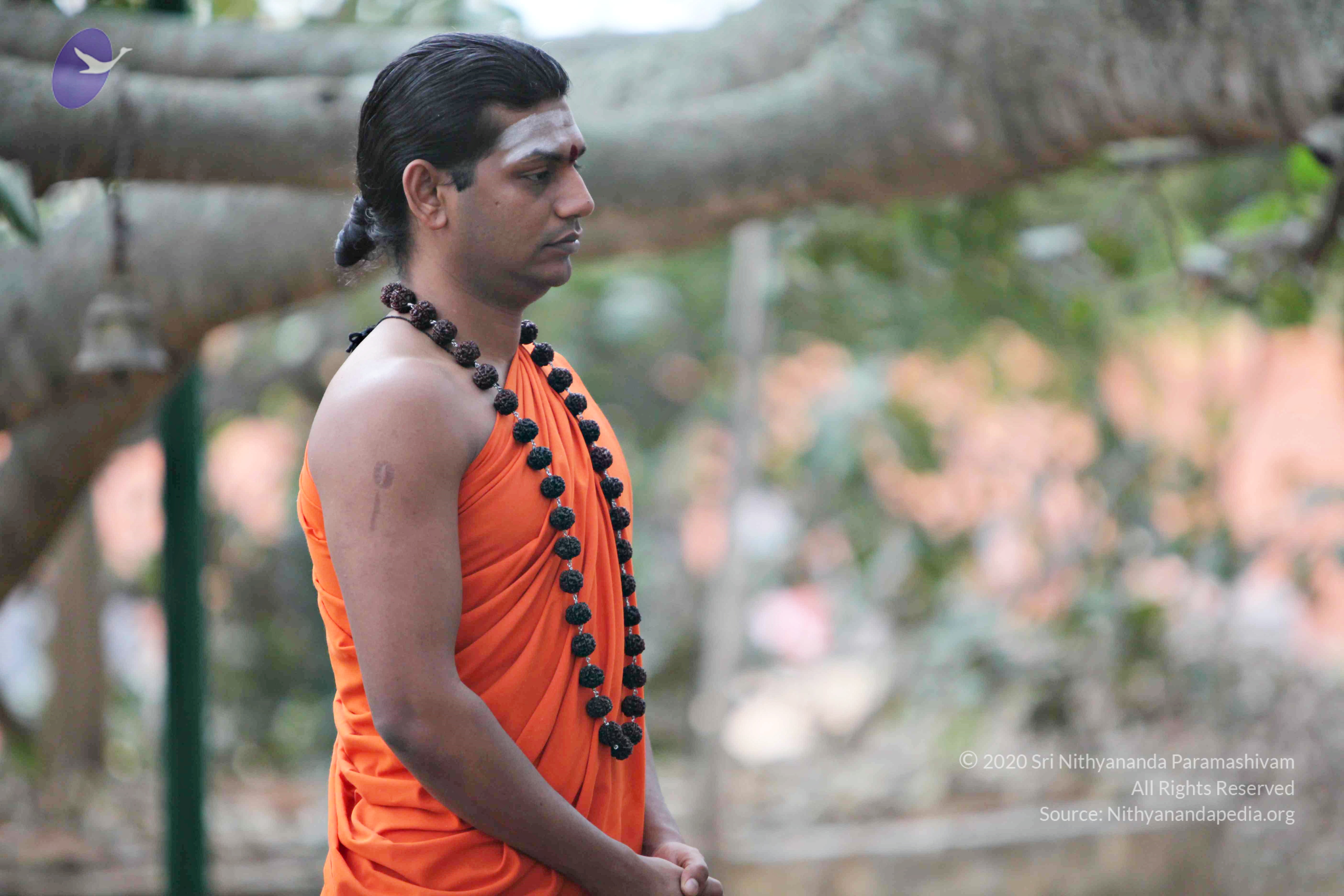 20110225_Photo_1040_IMG_0778_CMP_WM