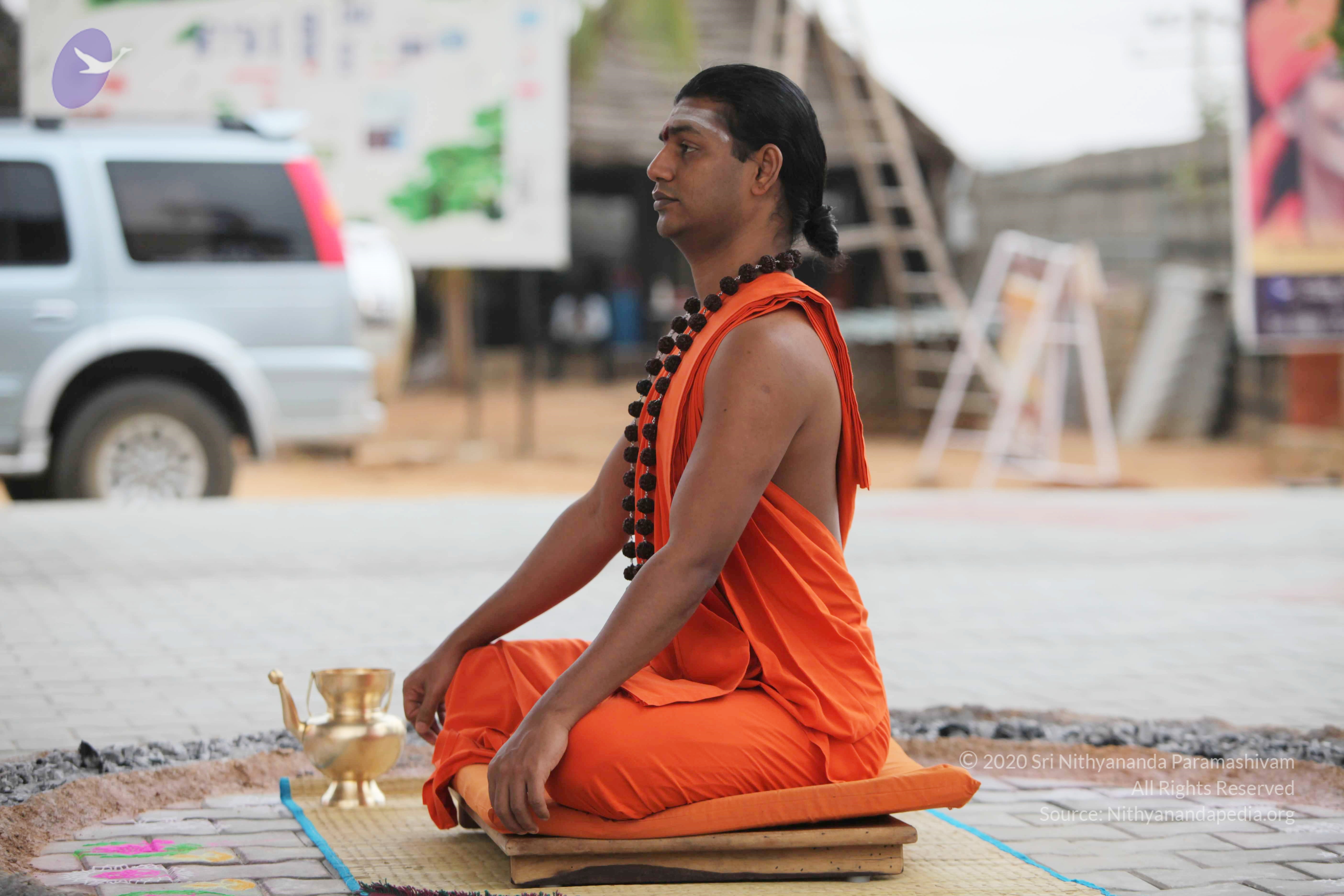 20110225_Photo_1041_IMG_0835_CMP_WM