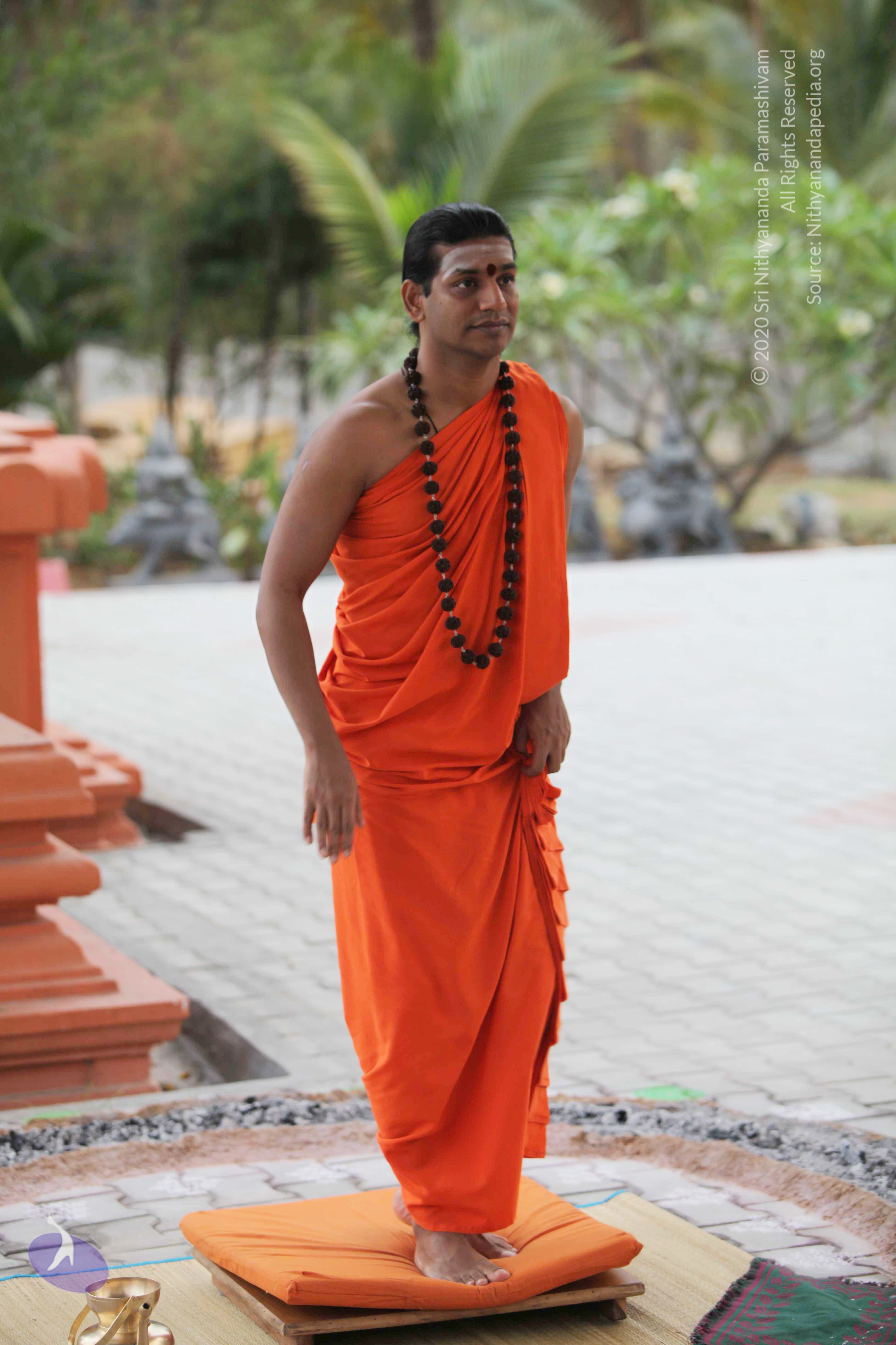 20110225_Photo_1047_IMG_0807_CMP_WM