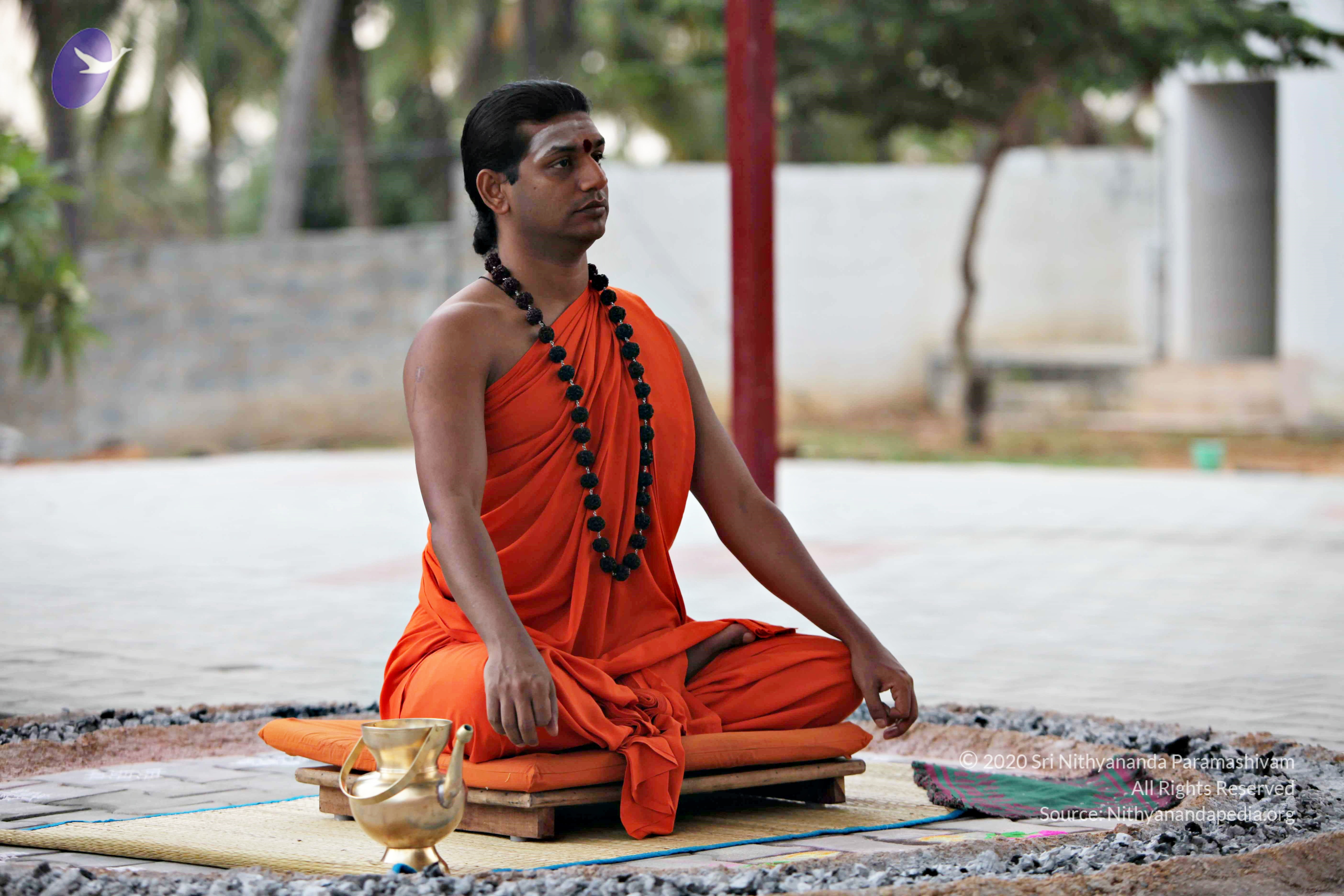 20110225_Photo_1048_IMG_0830_CMP_WM