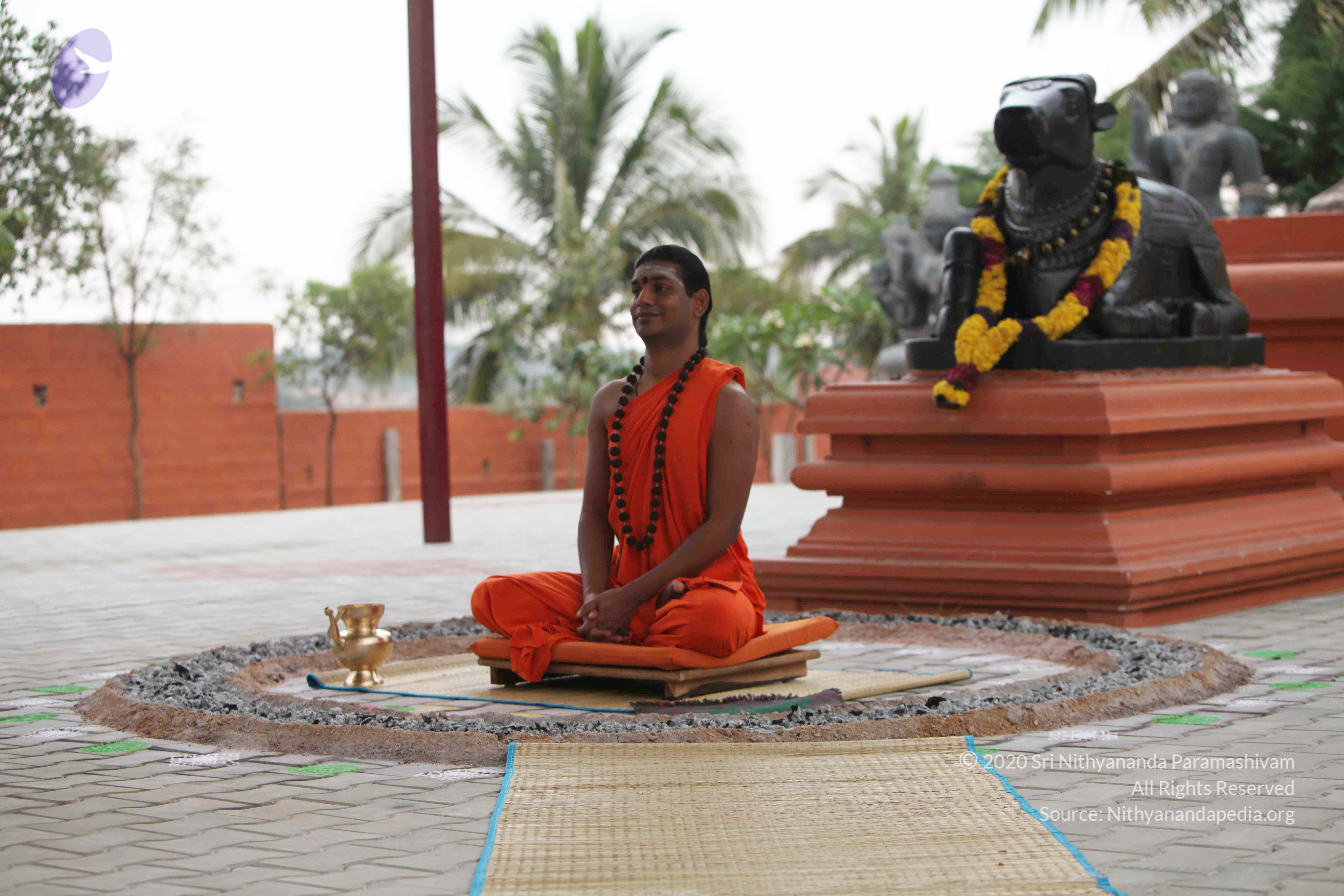 20110225_Photo_1057_IMG_0843_CMP_WM