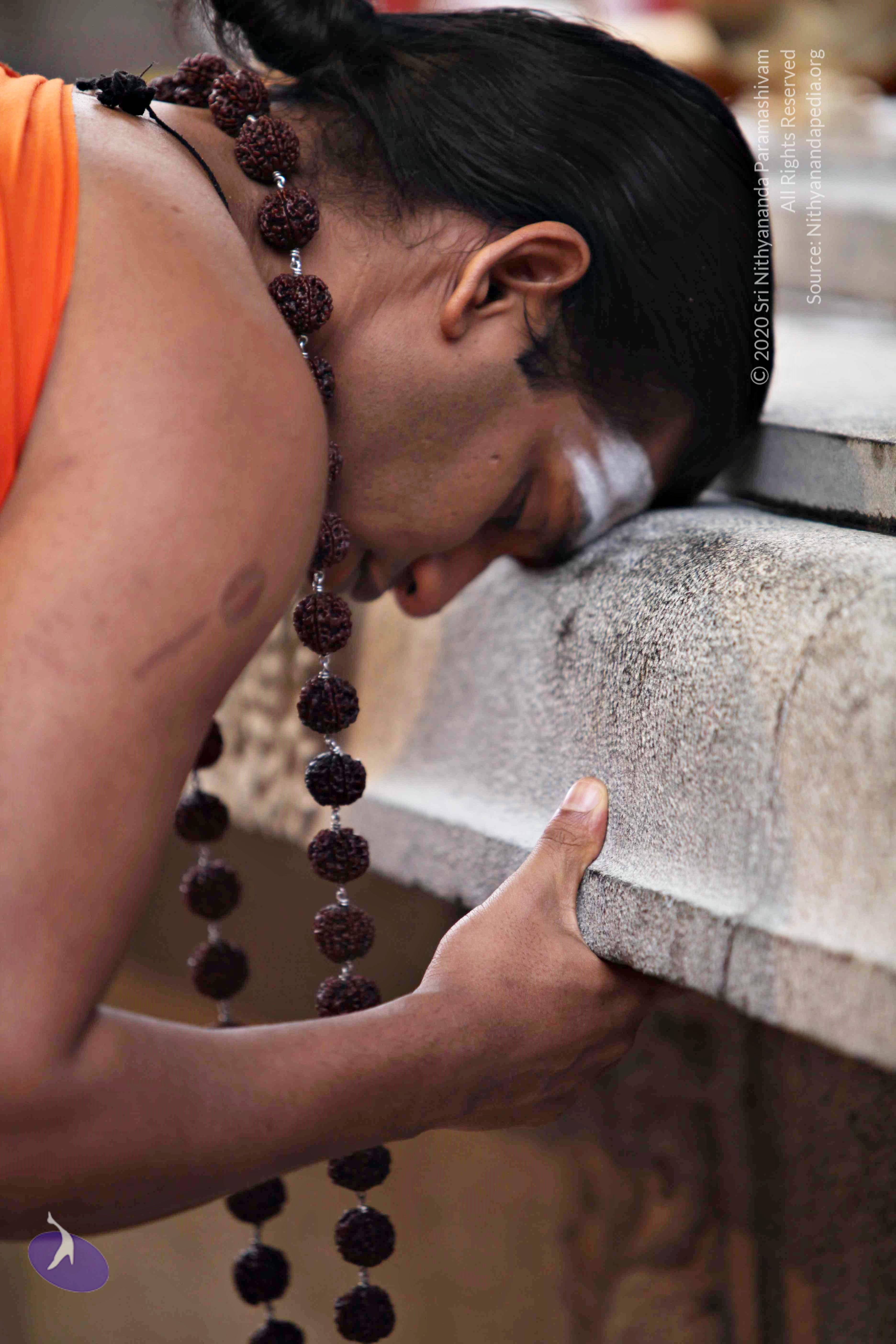 20110225_Photo_1058_IMG_0793_CMP_WM