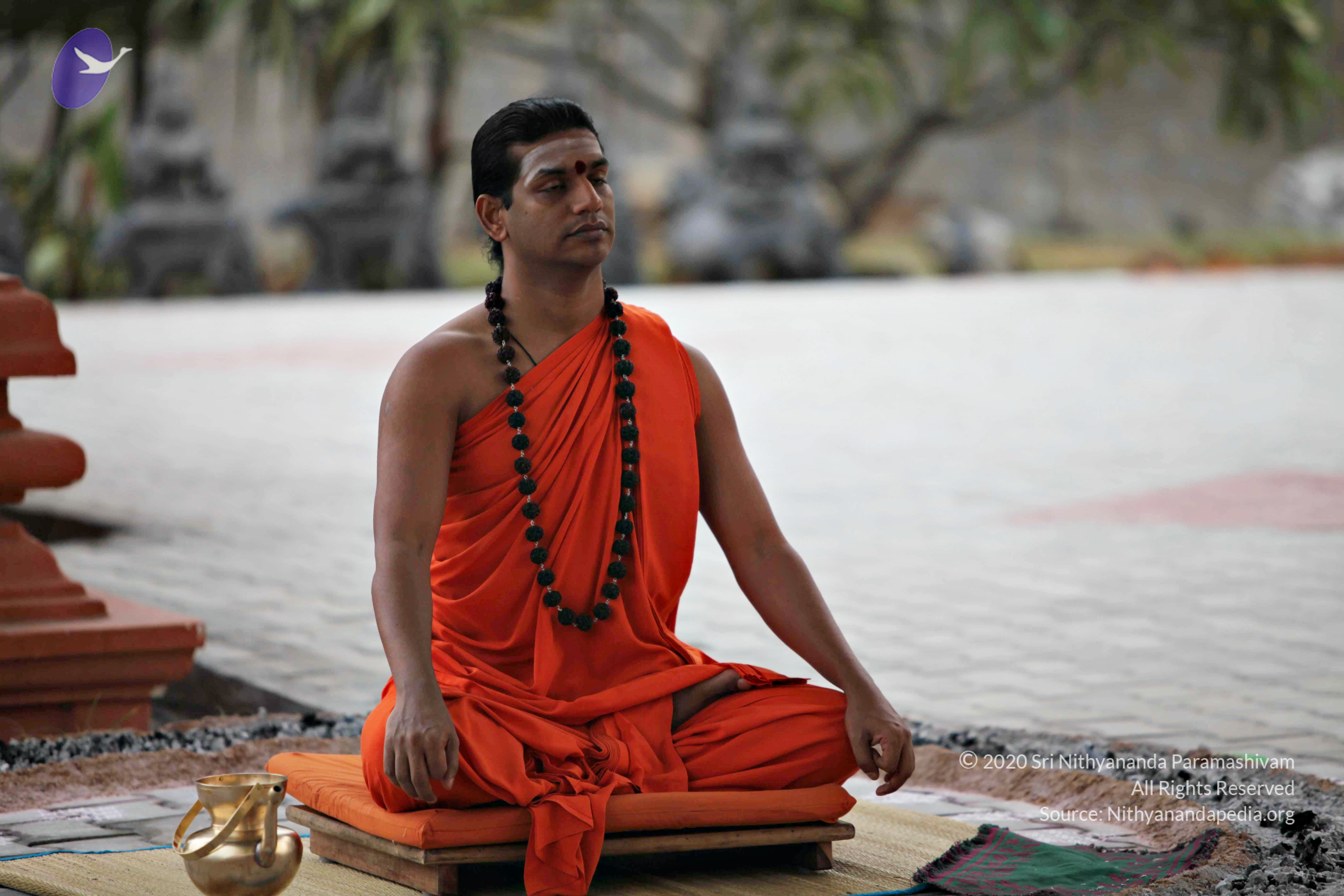 20110225_Photo_1060_IMG_0816_CMP_WM