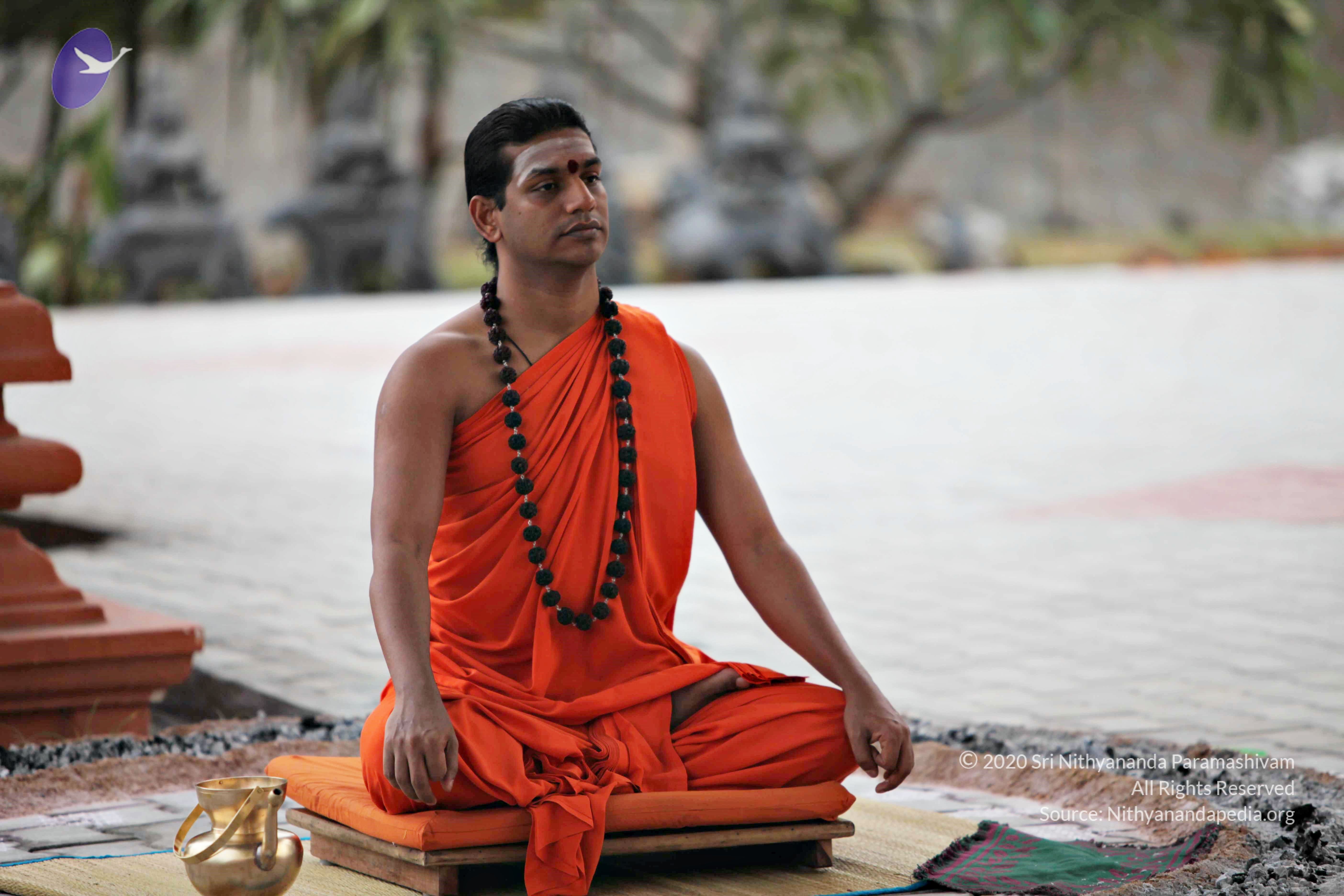 20110225_Photo_1063_IMG_0818_CMP_WM