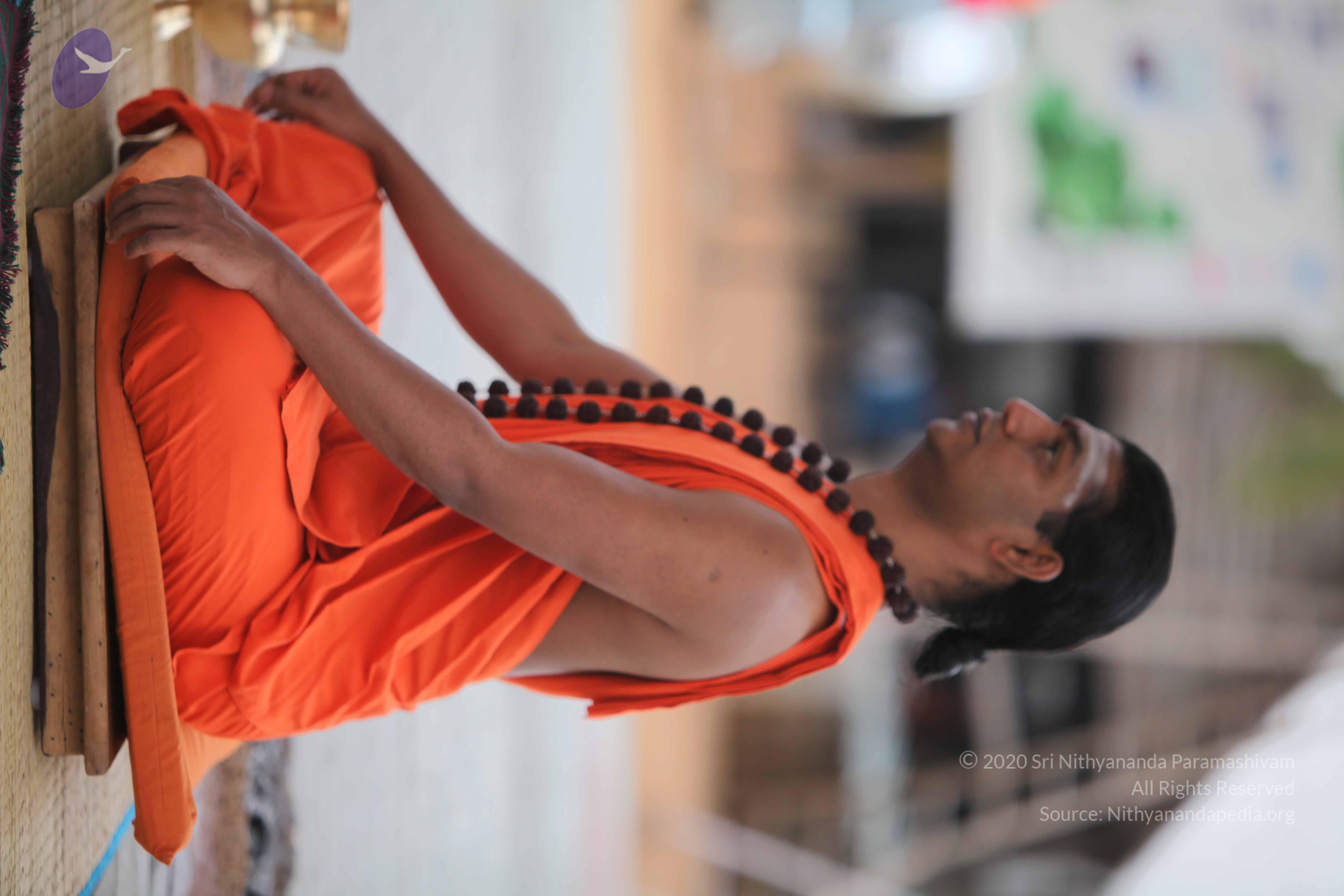 20110225_Photo_1069_IMG_0840_CMP_WM